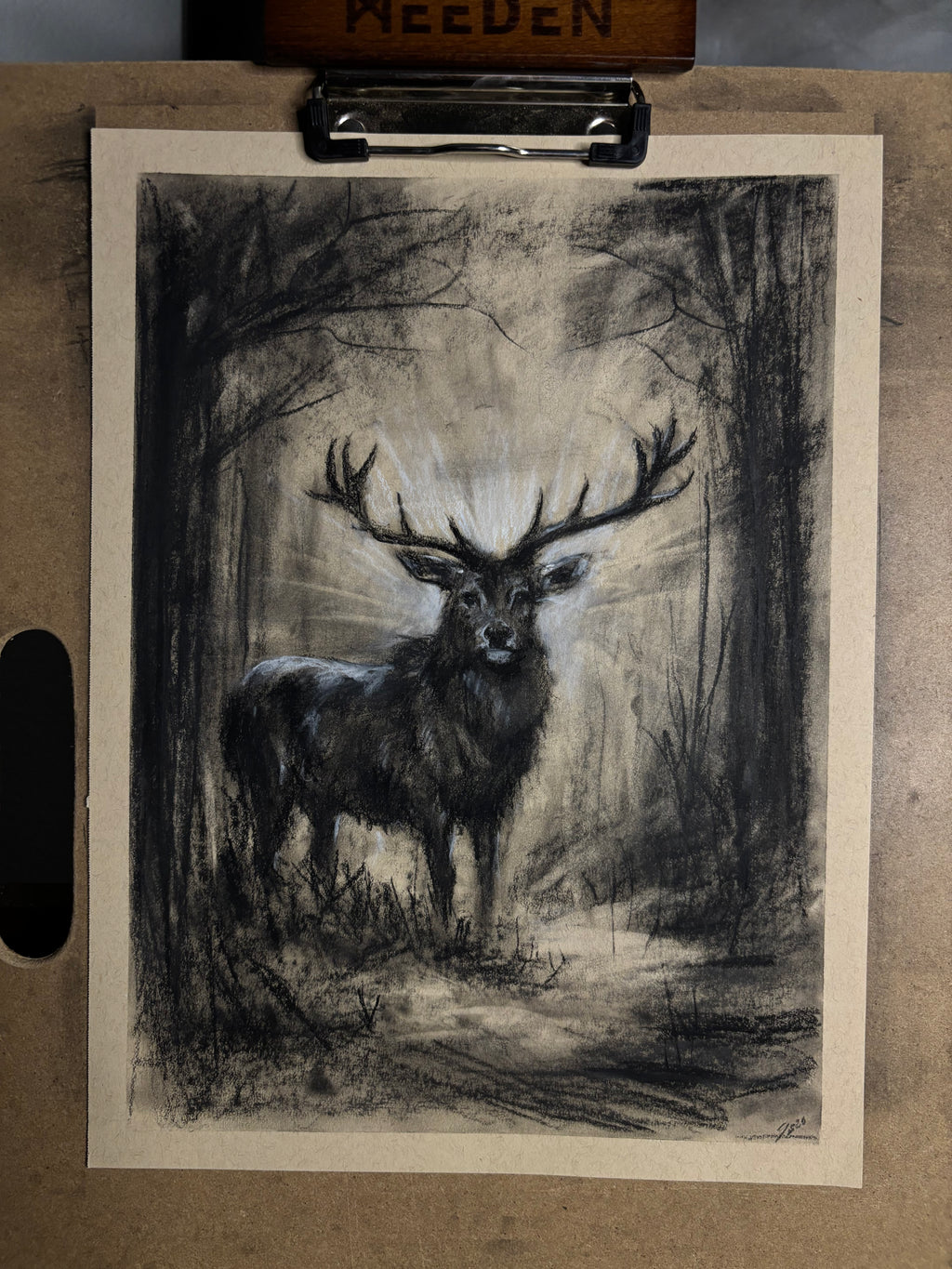 “ whimsical wilderness “￼