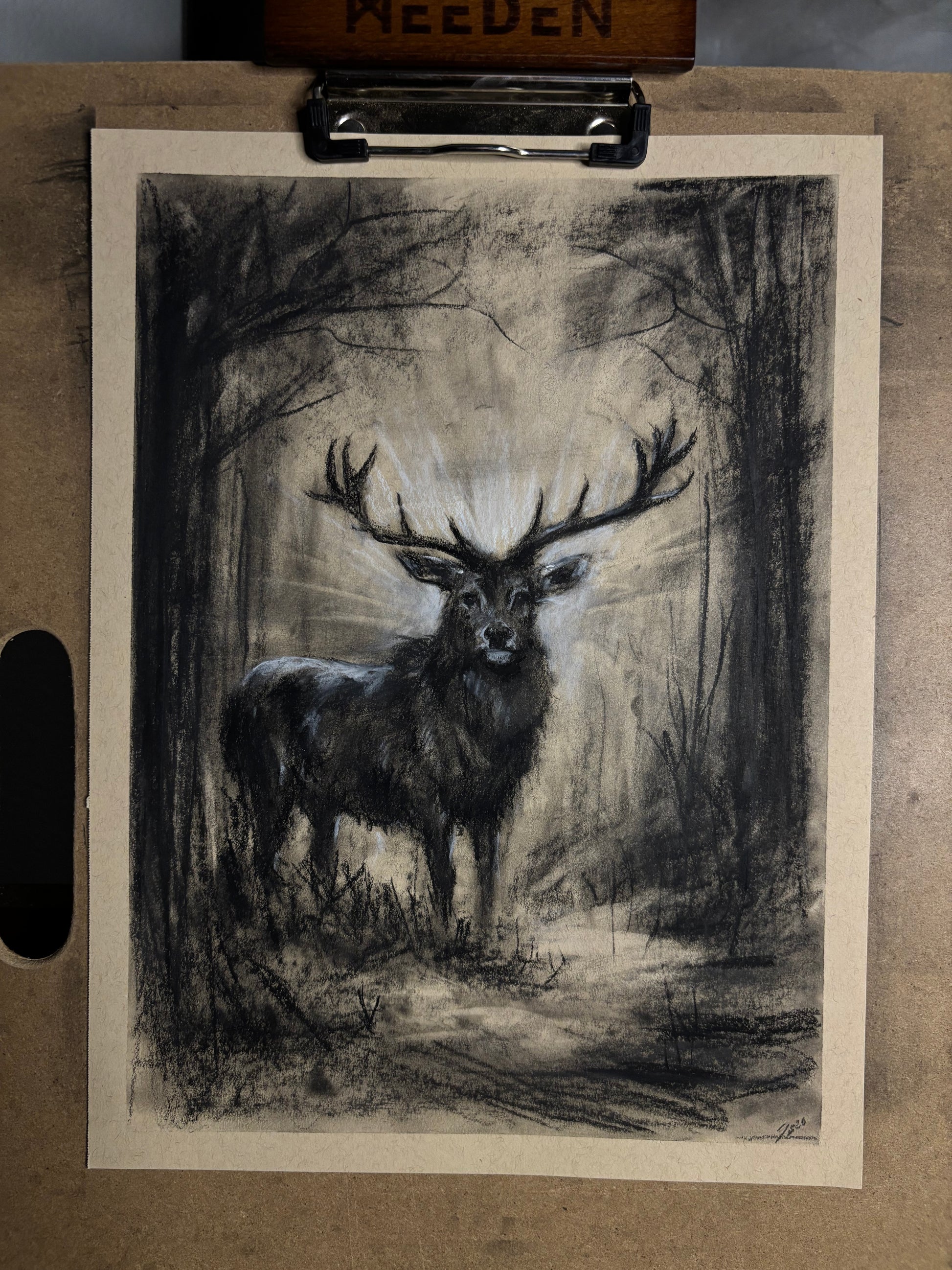 “ whimsical wilderness “￼