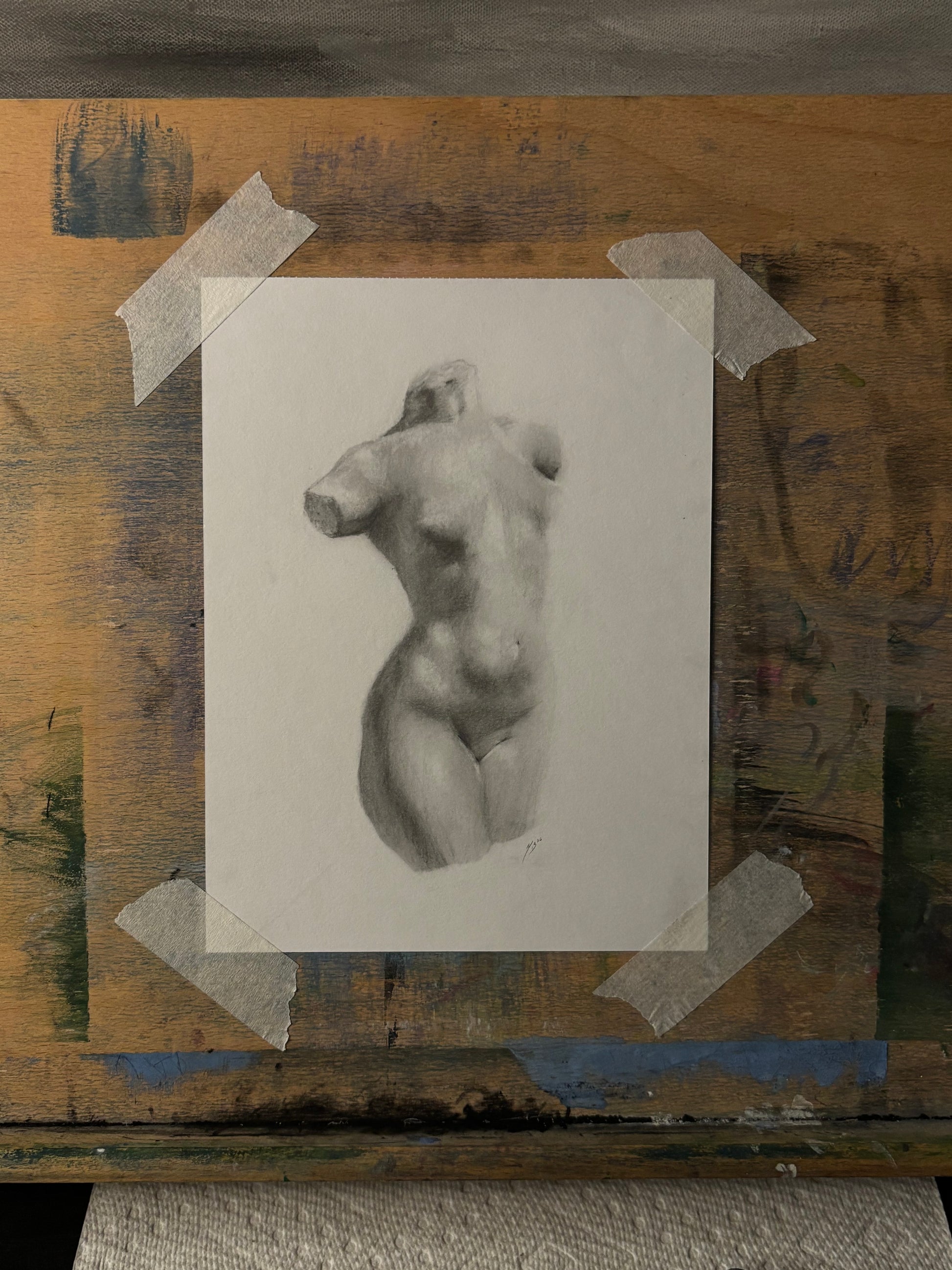 Tender Curves￼