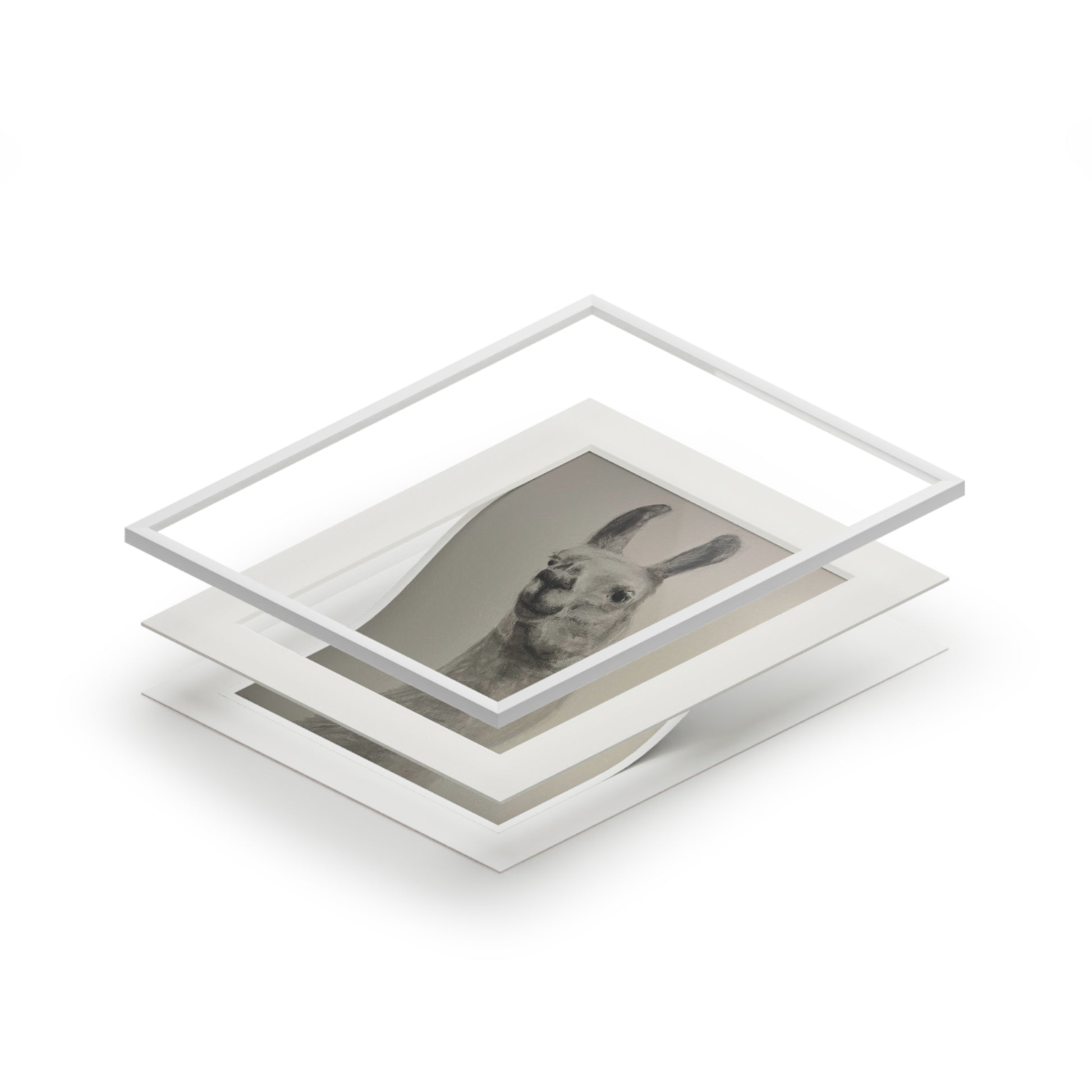 Llama Fine Art Print with Passepartout — Minimalist Neutral Wall Art