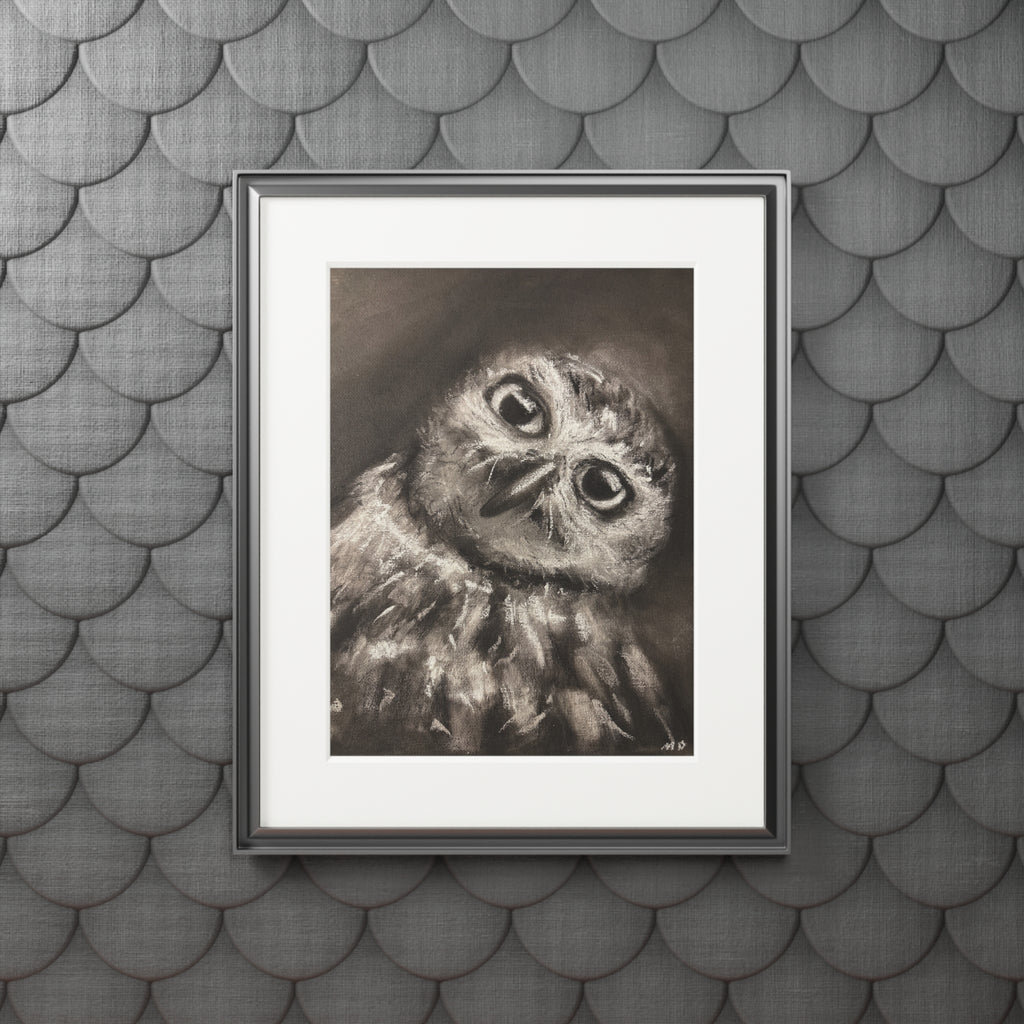 "CURIOSITY" Owl Charcoal Fine Art Print with Passepartout Frame