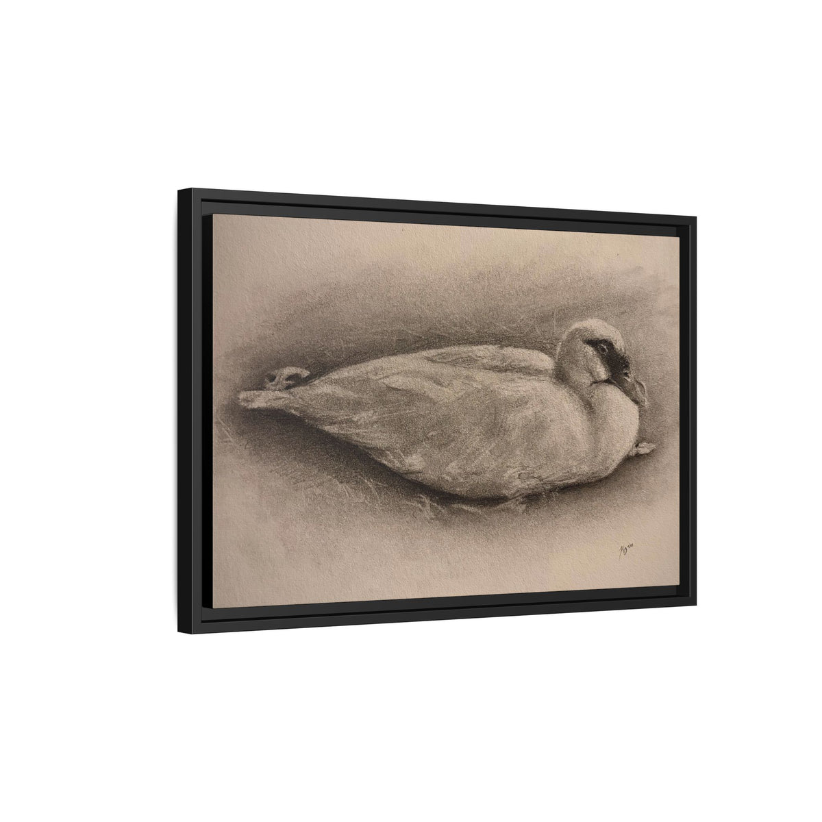 “Duck Rest”