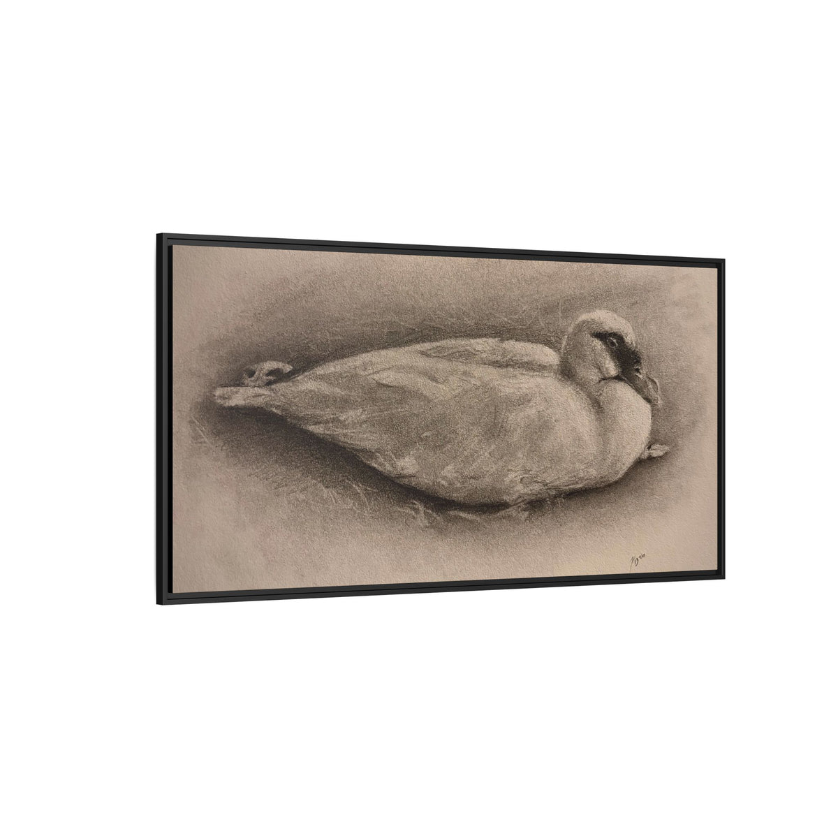 “Duck Rest”