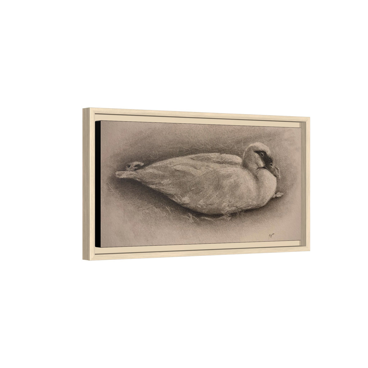 “Duck Rest”