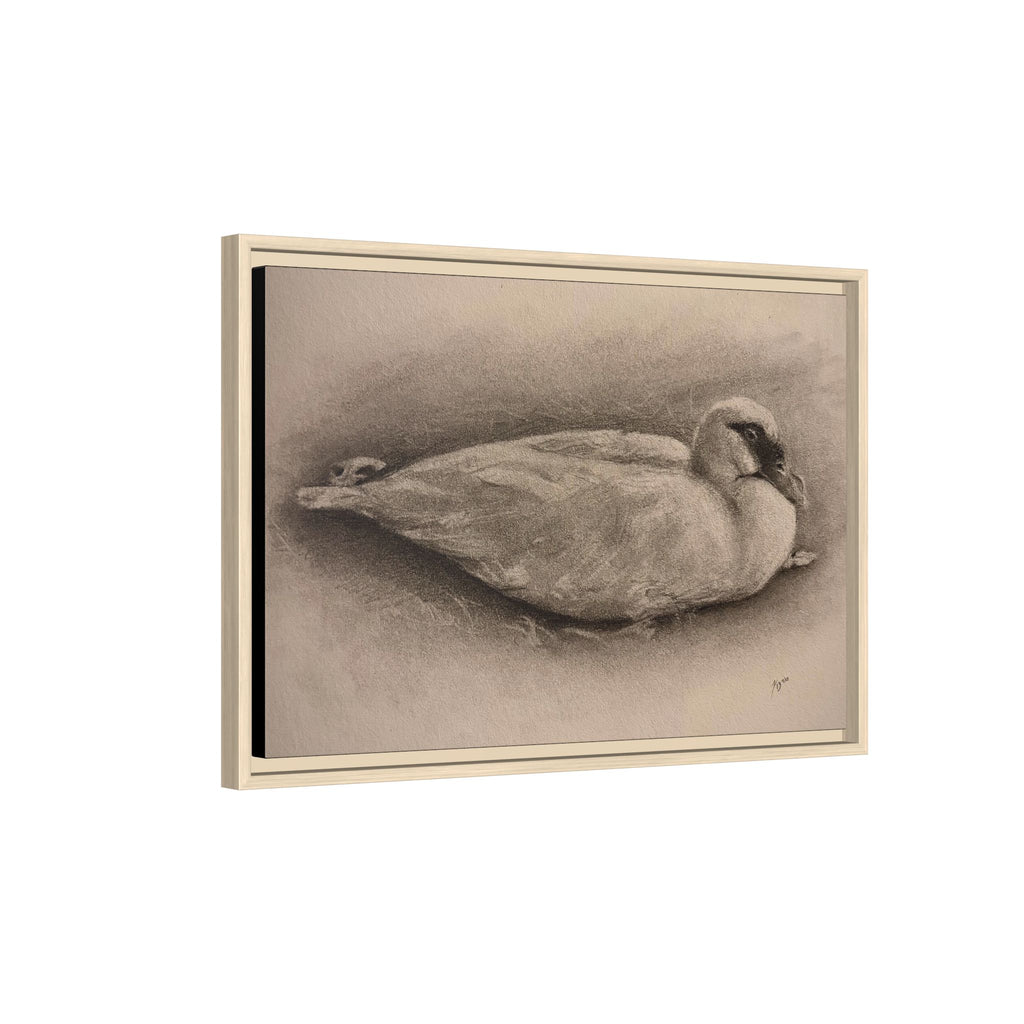 “Duck Rest”