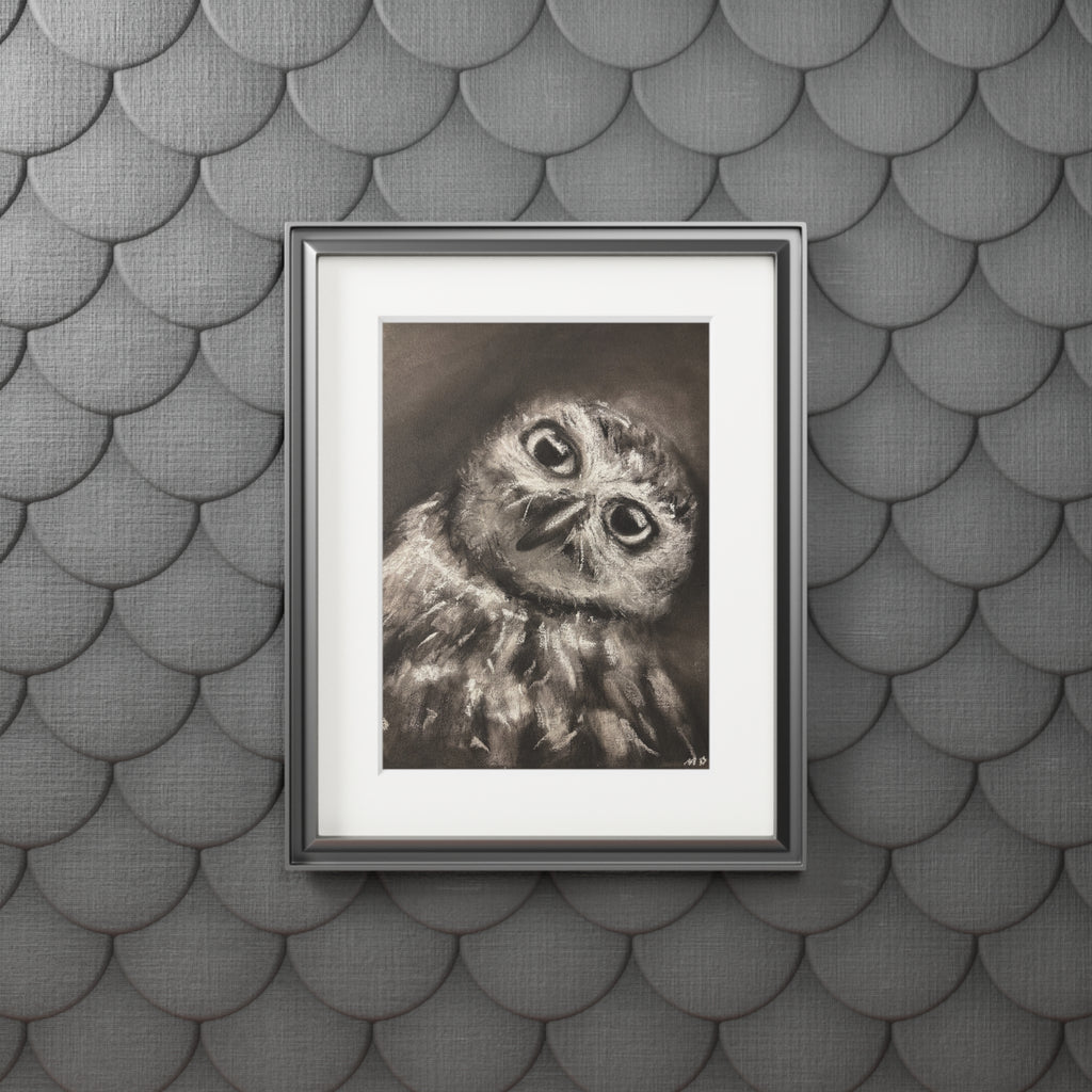 "CURIOSITY" Owl Charcoal Fine Art Print with Passepartout Frame