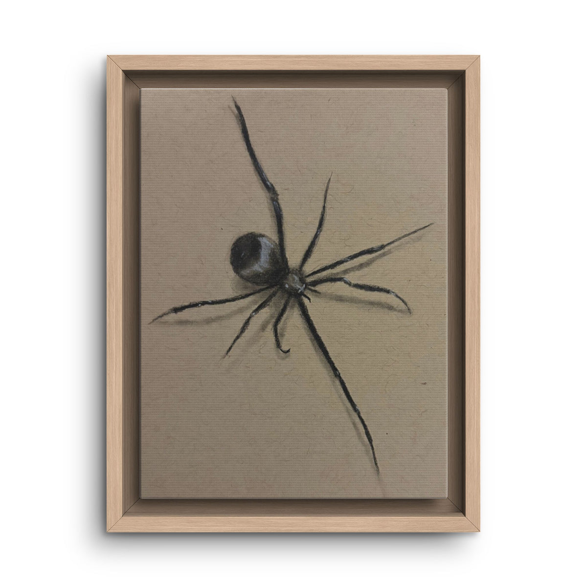 Framed Canvas Spider Wall Art
