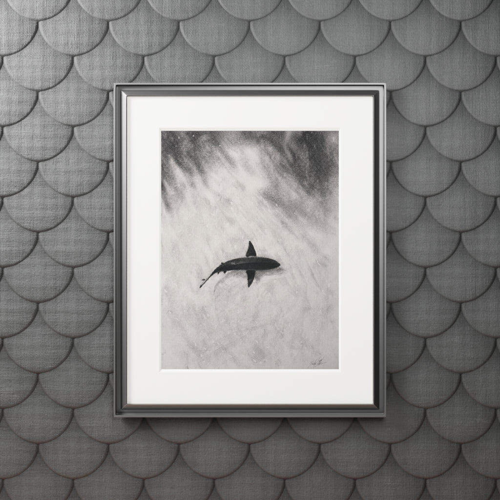 “Shark” Fine Art Prints (Passepartout Paper Frame)