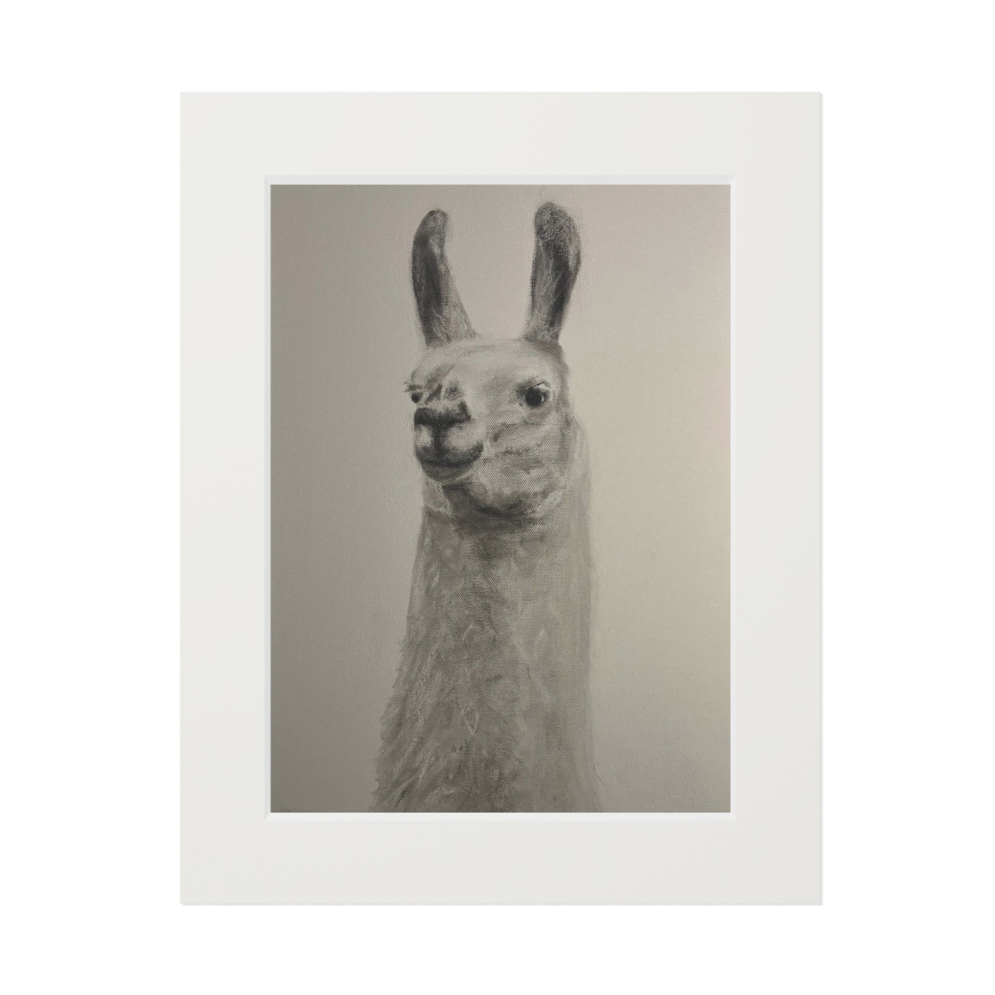 Llama Fine Art Print with Passepartout — Minimalist Neutral Wall Art