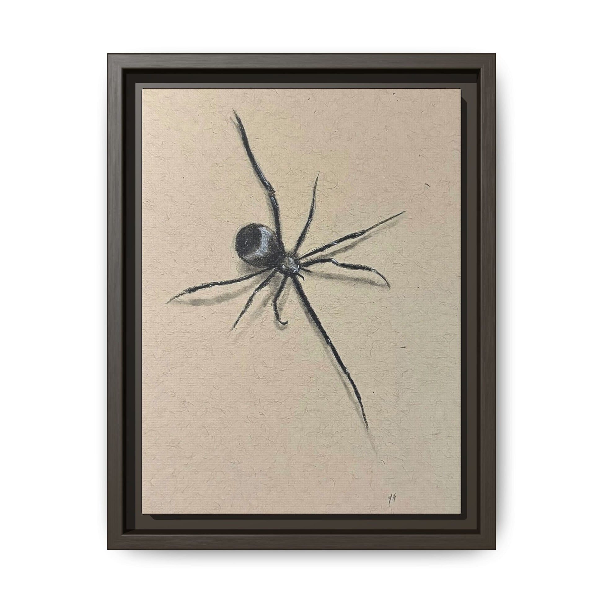 "ICY" SPIDER Framed Canvas Art — Minimal Black Spider Sketch