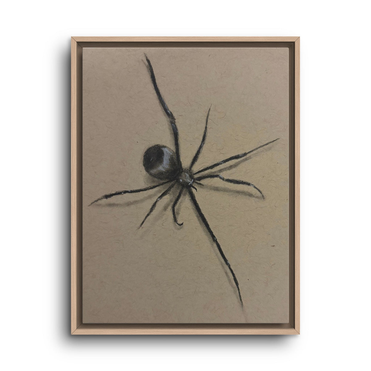 Framed Canvas Spider Wall Art
