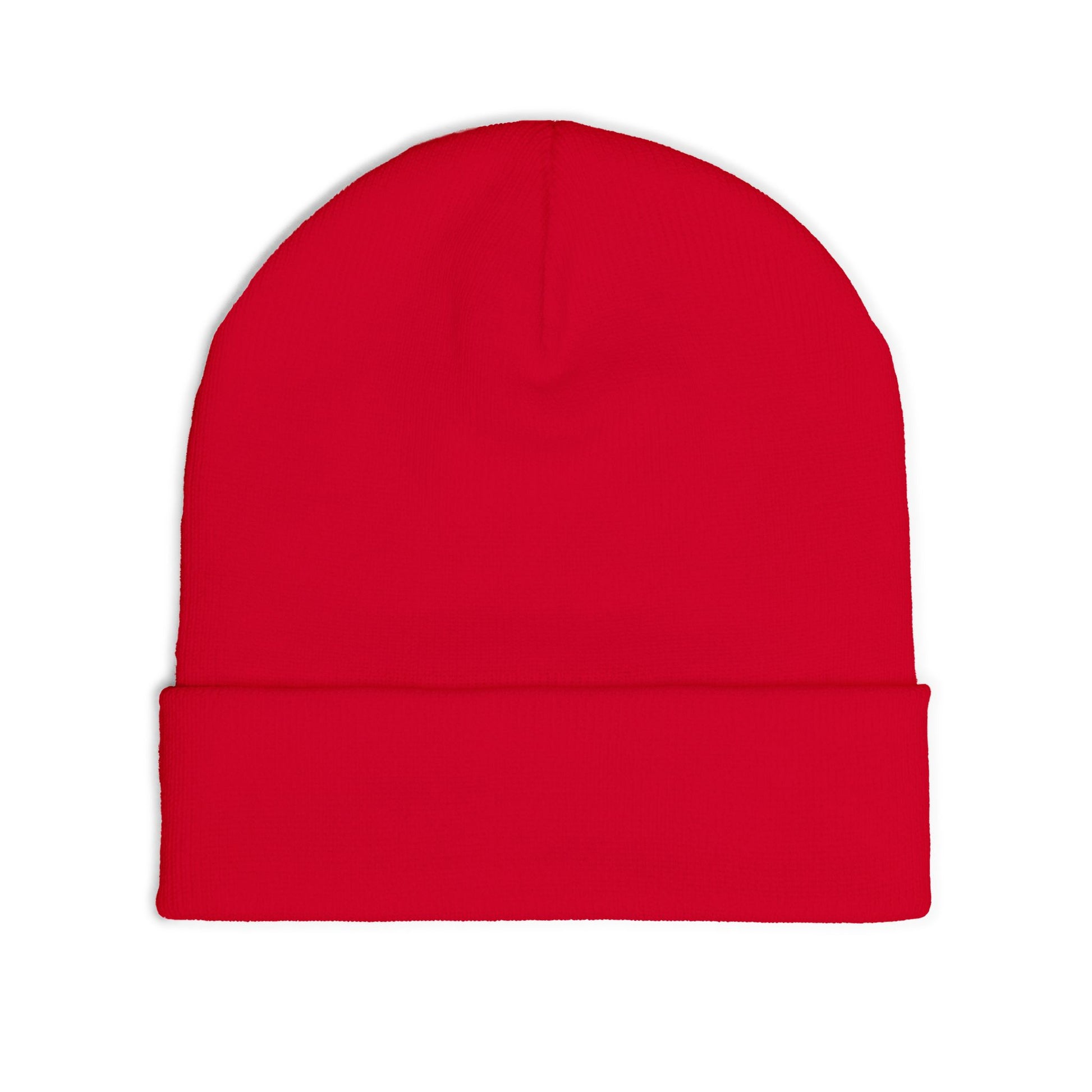 Embroidered "ICY" Knit Beanie Vol.2