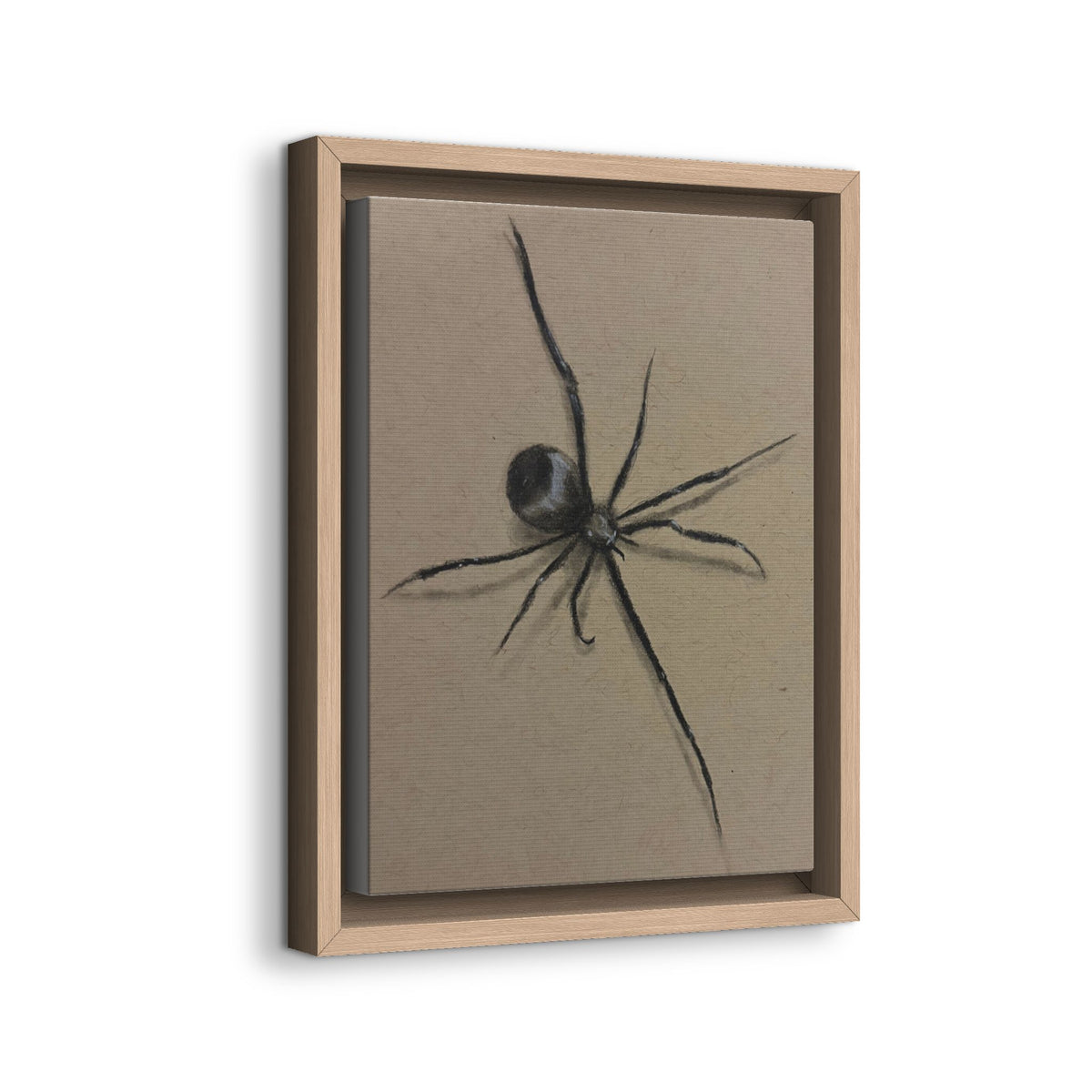 Framed Canvas Spider Wall Art