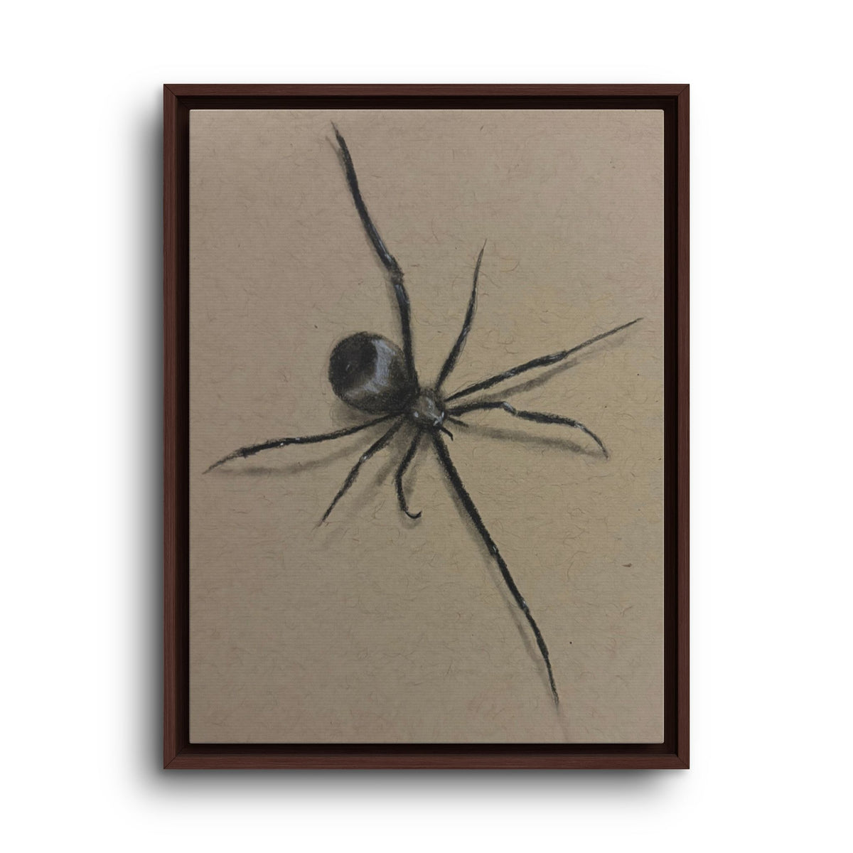 Framed Canvas Spider Wall Art