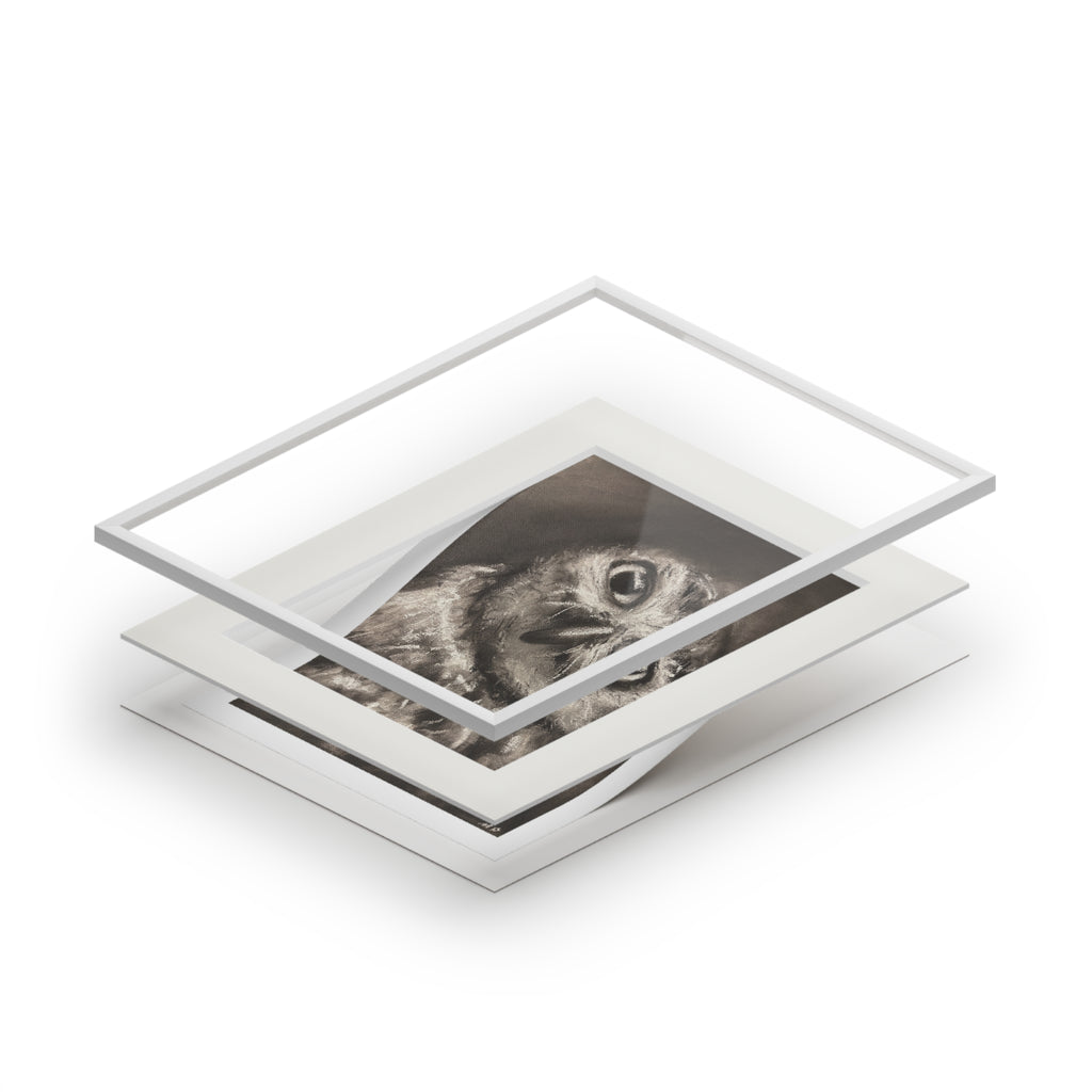 "CURIOSITY" Owl Charcoal Fine Art Print with Passepartout Frame