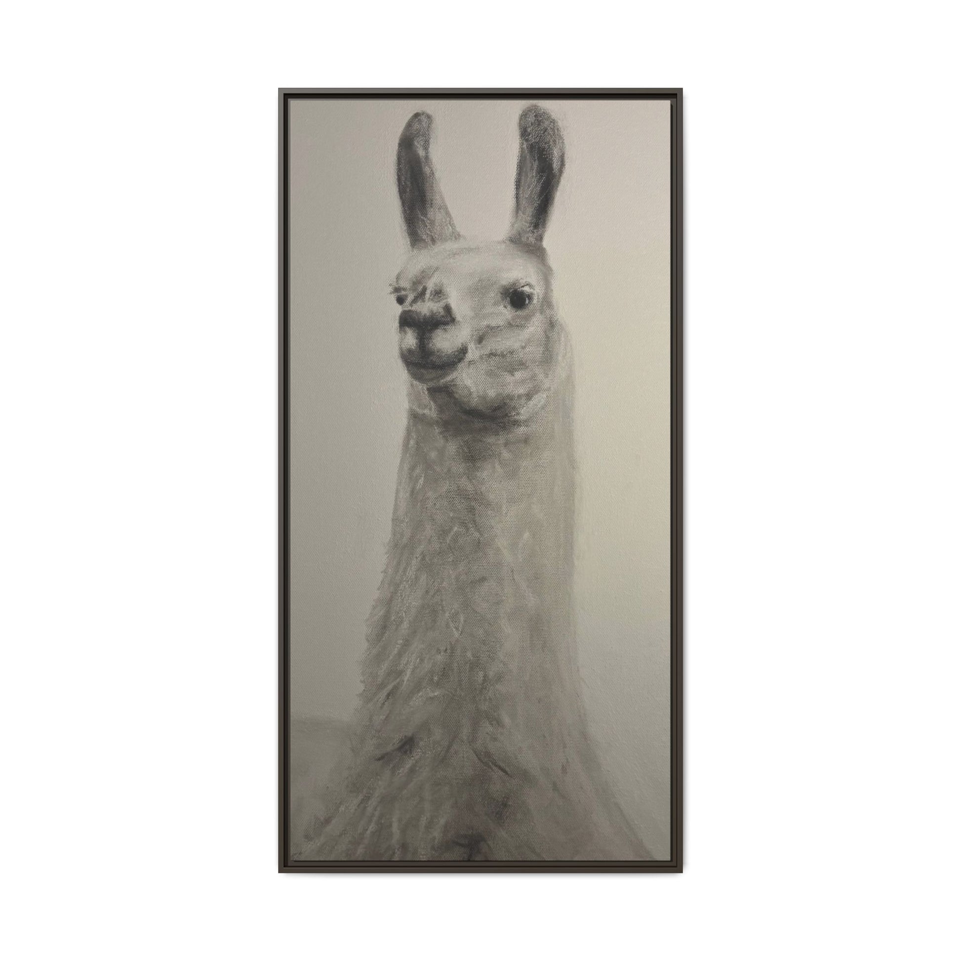 Framed Llama Portrait Canvas — Neutral Monochrome Animal Wall Art