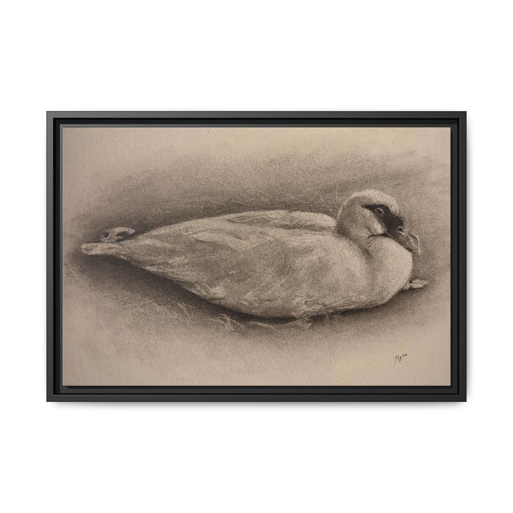 “Duck Rest”