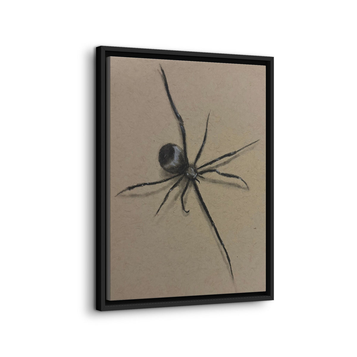 Framed Canvas Spider Wall Art