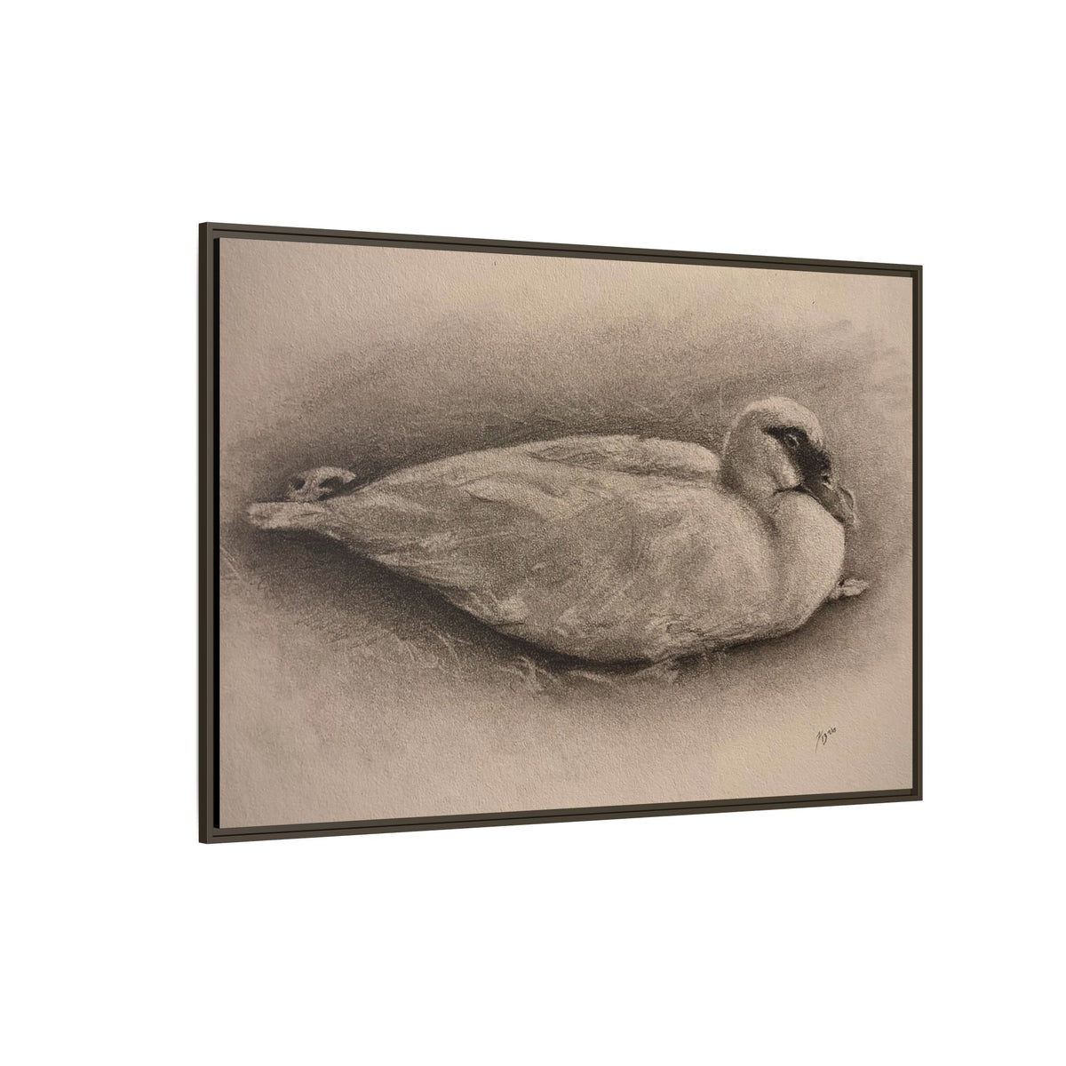 “Duck Rest”