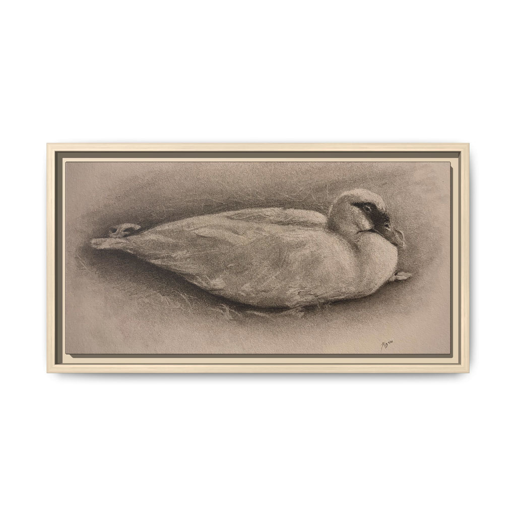 “Duck Rest”
