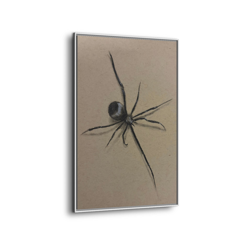 Framed Canvas Spider Wall Art