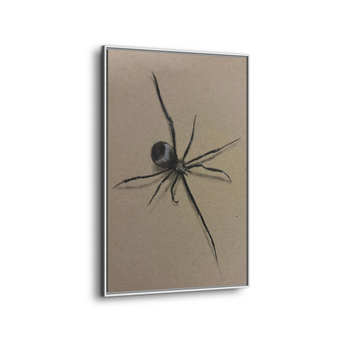 Framed Canvas Spider Wall Art