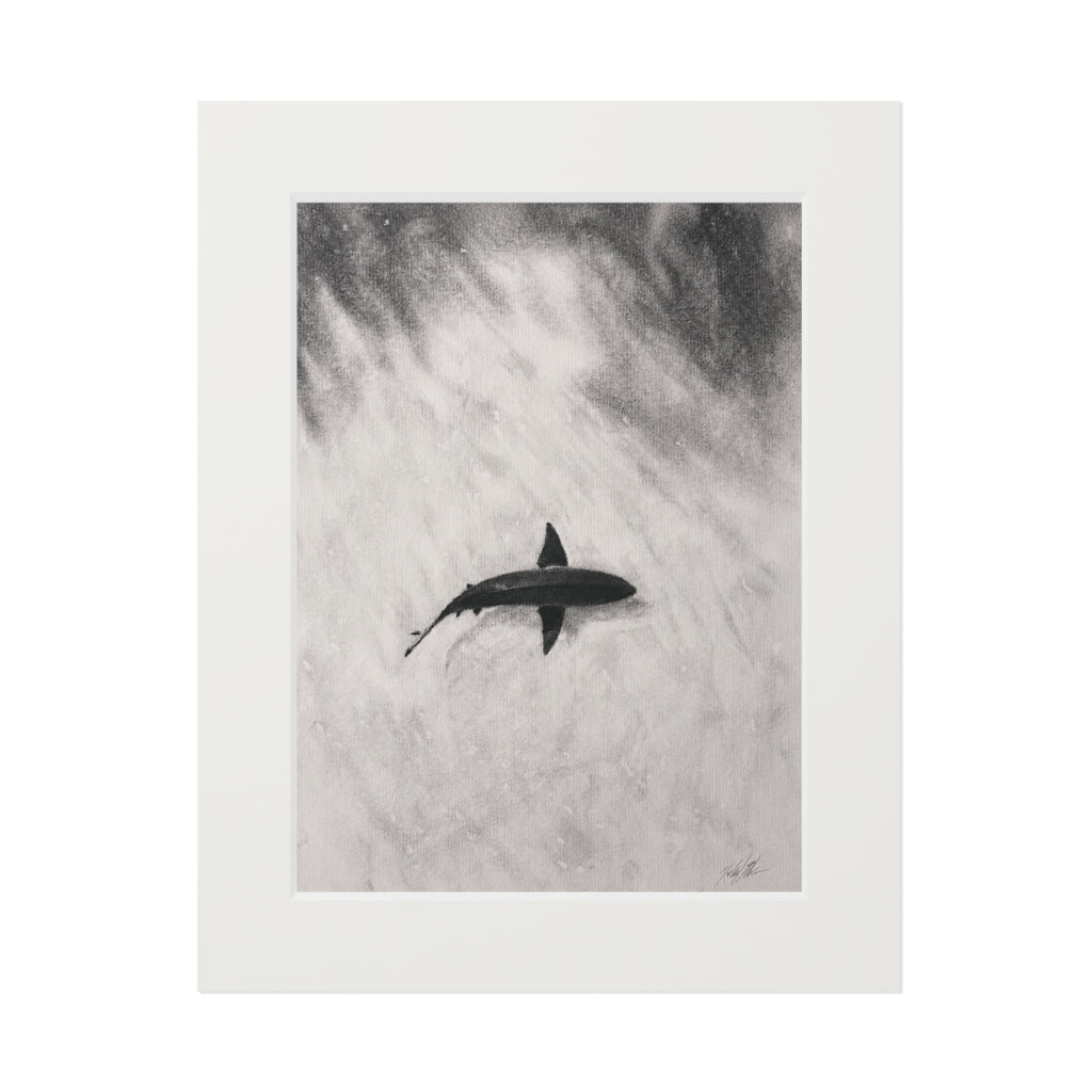 “Shark” Fine Art Prints (Passepartout Paper Frame)