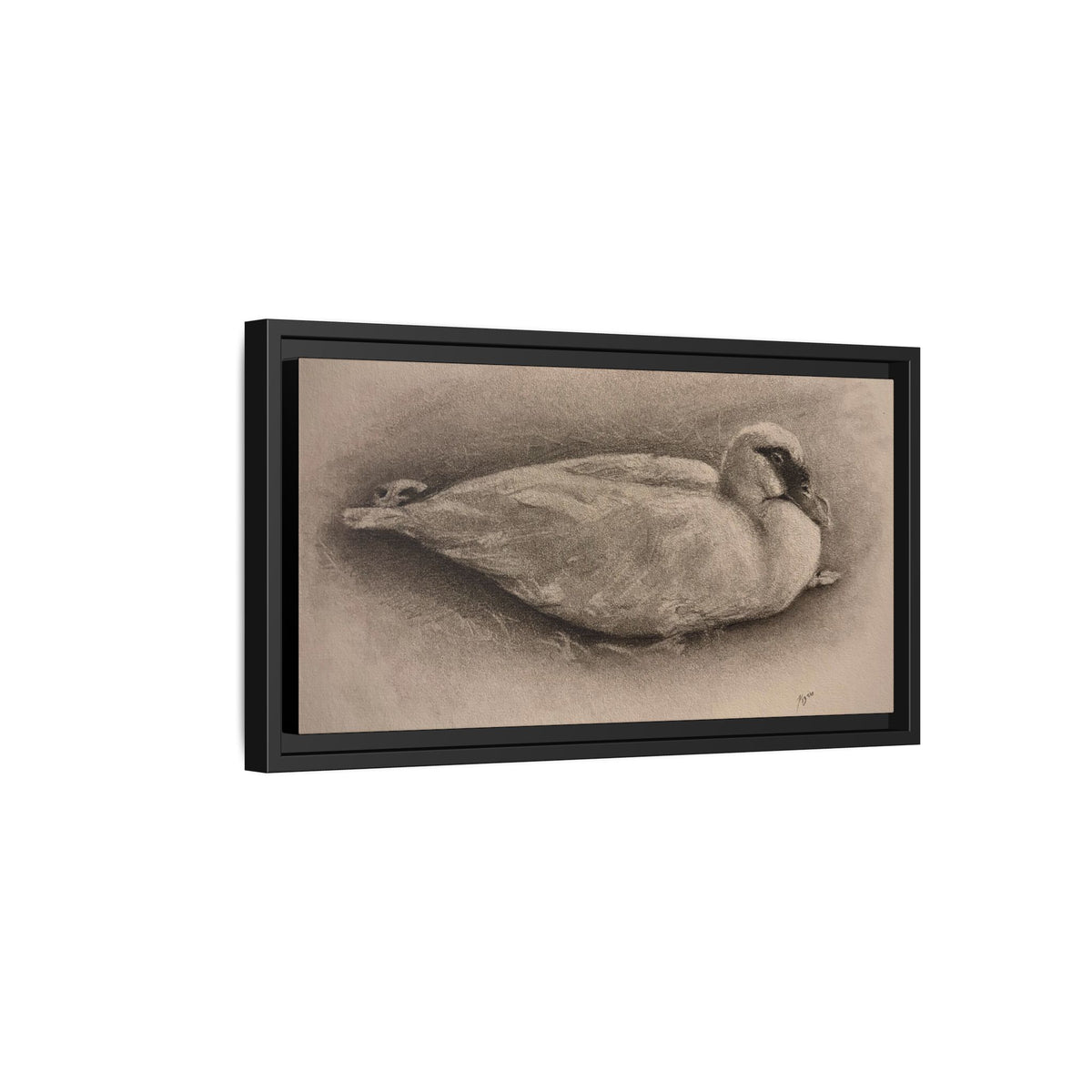 “Duck Rest”