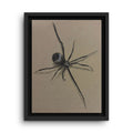 Framed Canvas Spider Wall Art