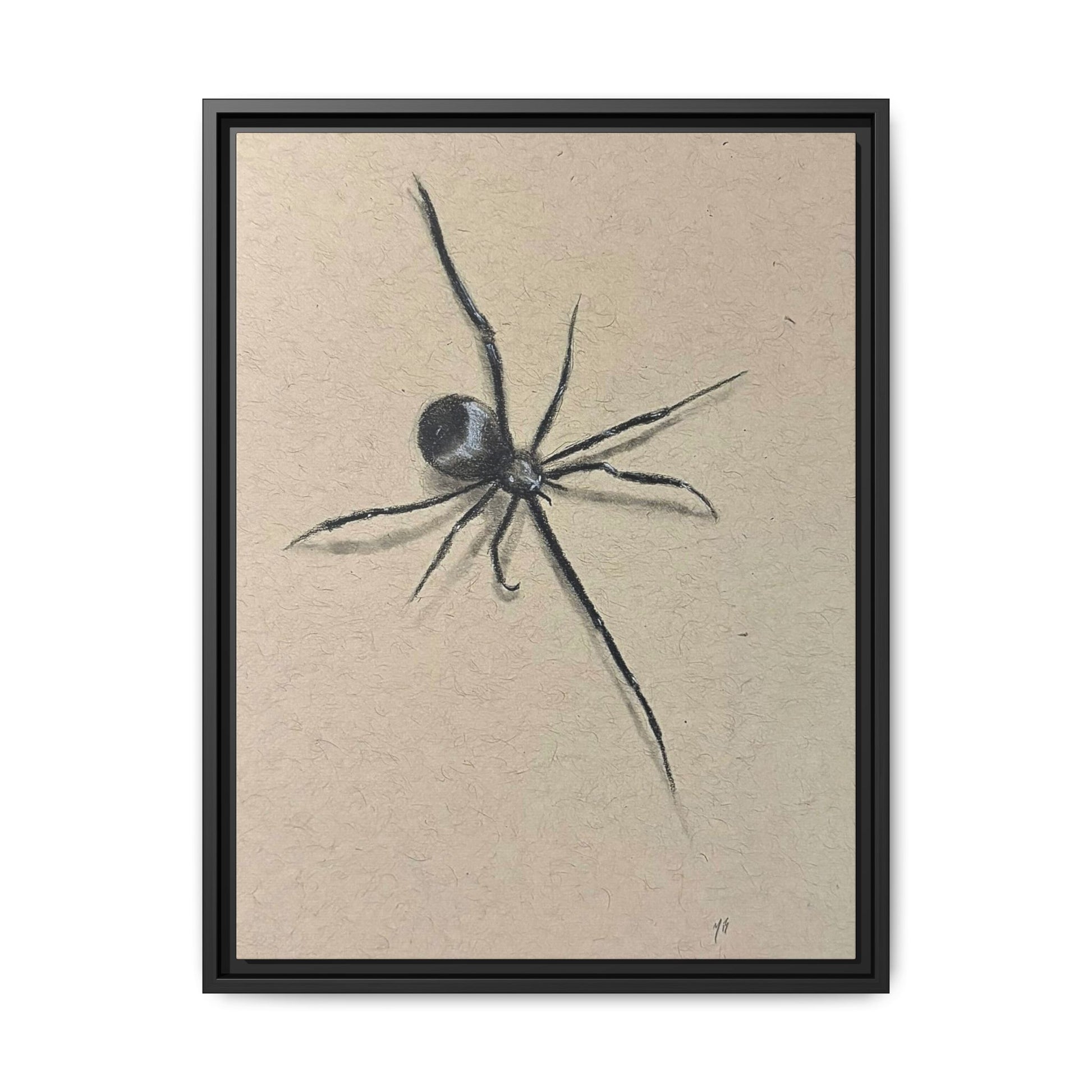 "ICY" SPIDER Framed Canvas Art — Minimal Black Spider Sketch