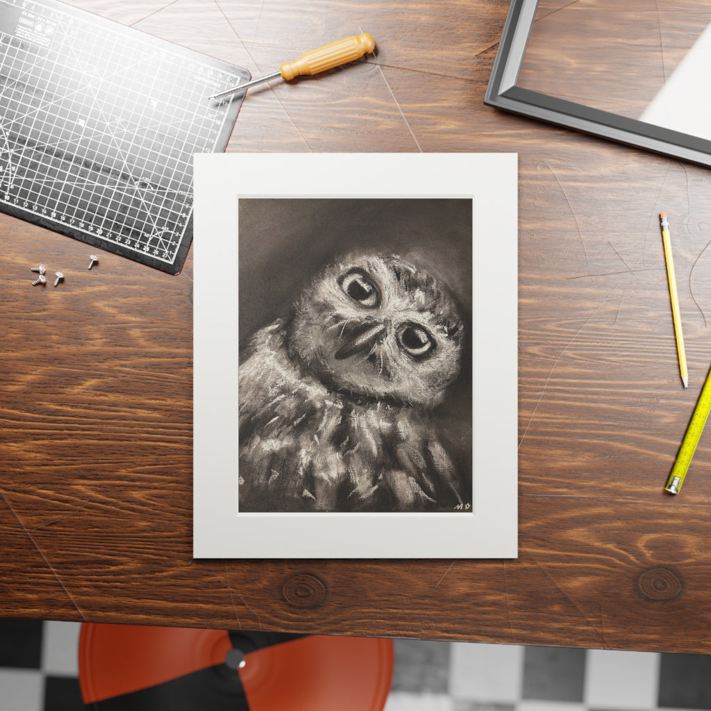 "CURIOSITY" Owl Charcoal Fine Art Print with Passepartout Frame