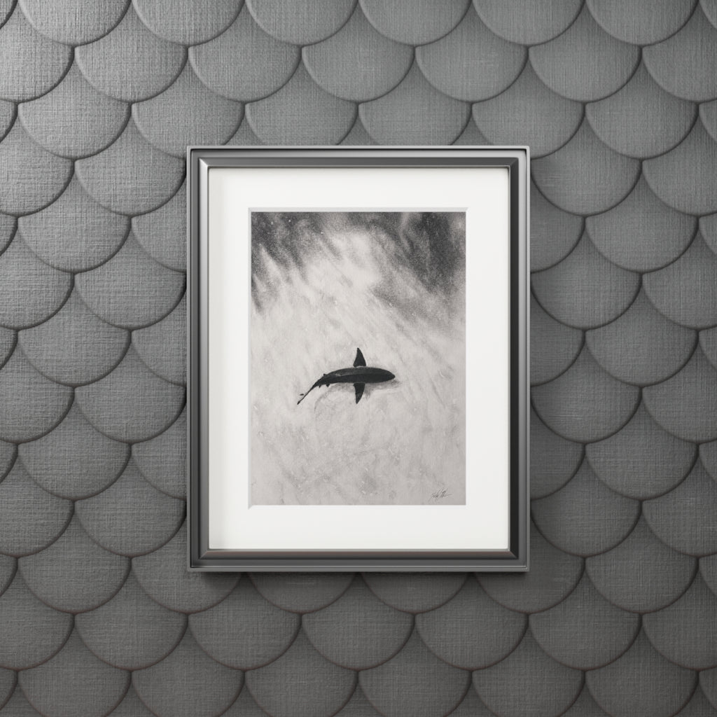 “Shark” Fine Art Prints (Passepartout Paper Frame)