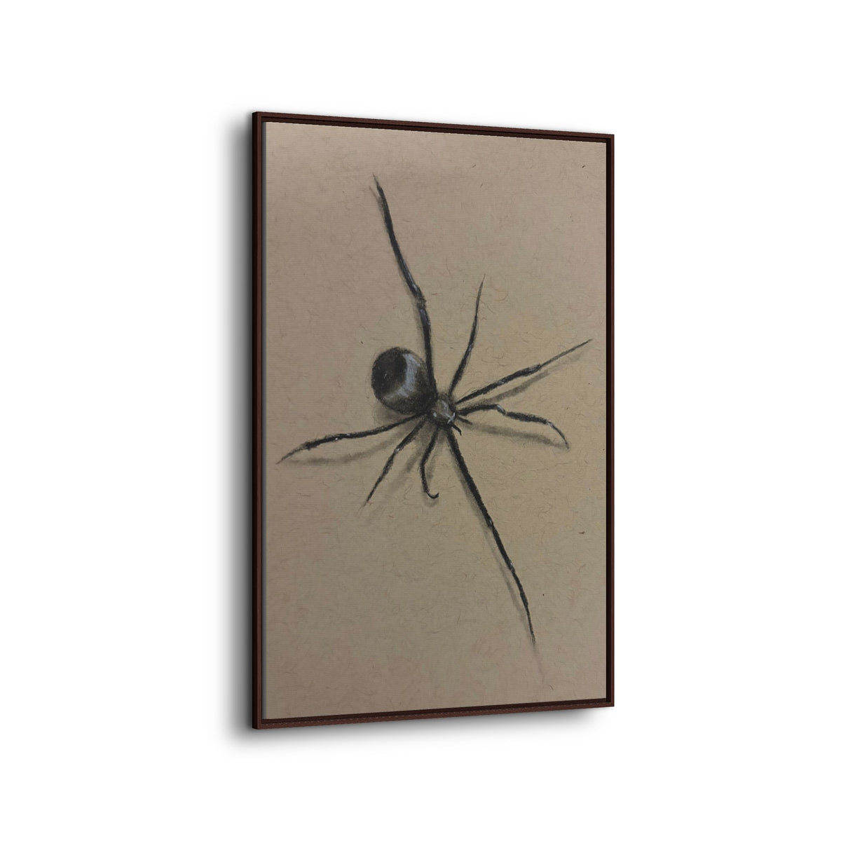 Framed Canvas Spider Wall Art