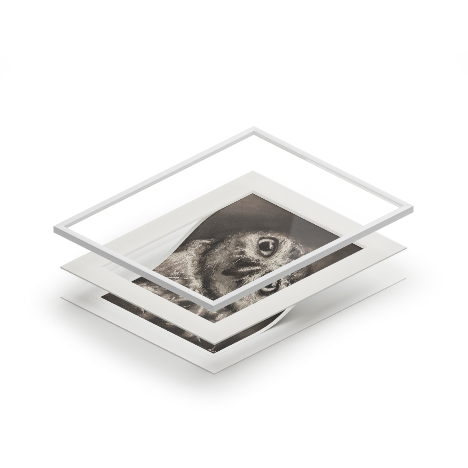 "CURIOSITY" Owl Charcoal Fine Art Print with Passepartout Frame
