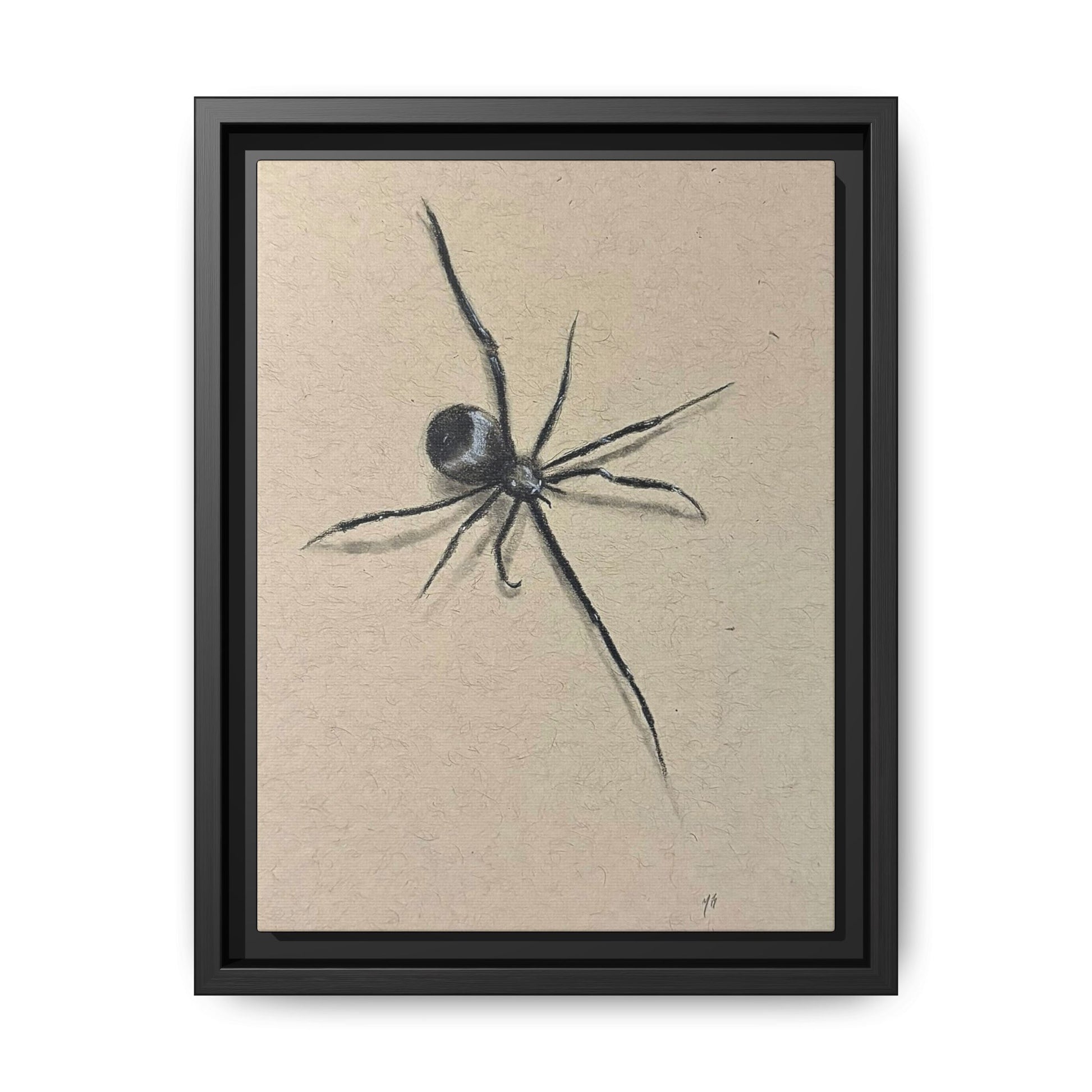 "ICY" SPIDER Framed Canvas Art — Minimal Black Spider Sketch