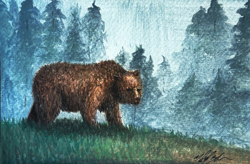Bear Pine