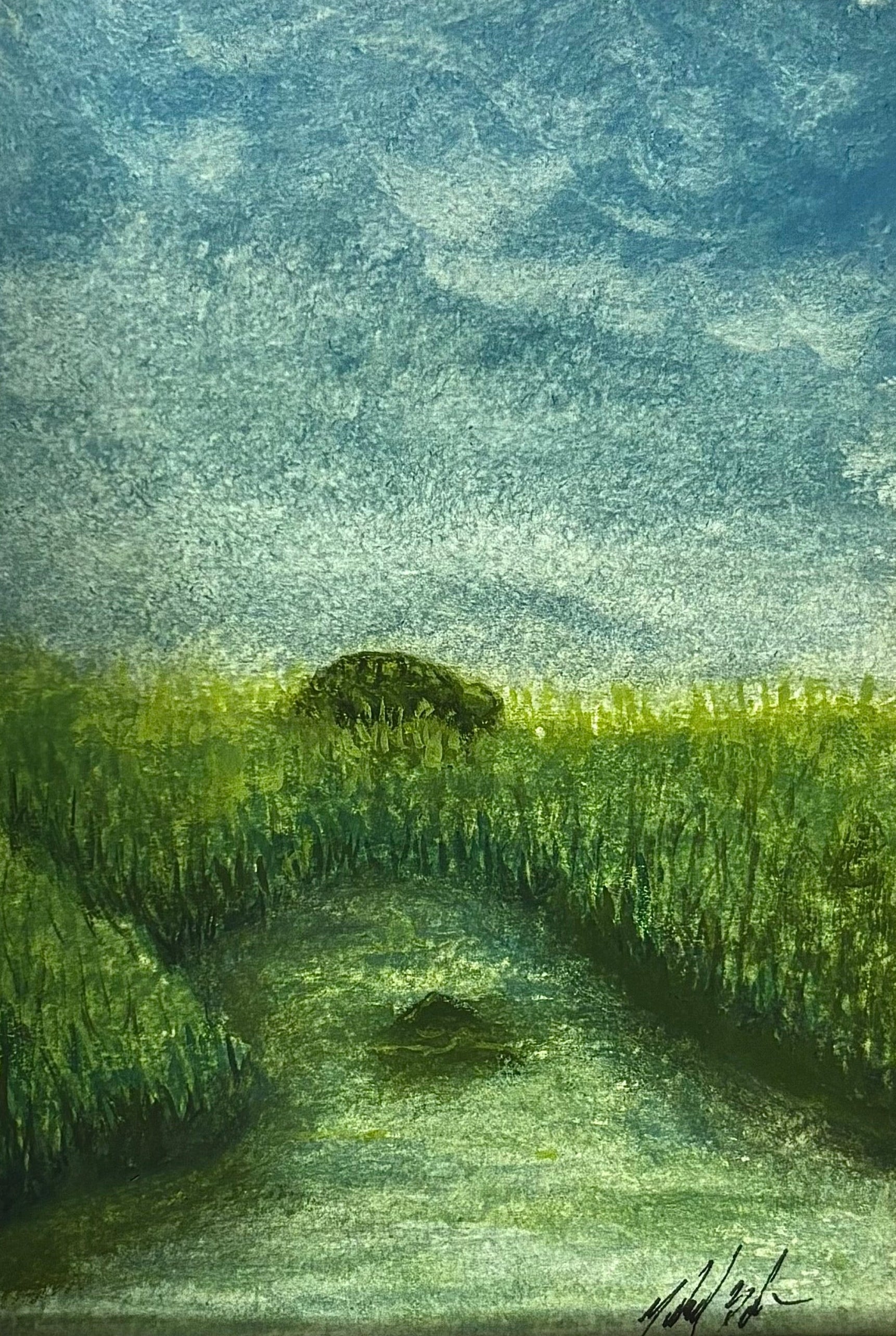 Turtle Island