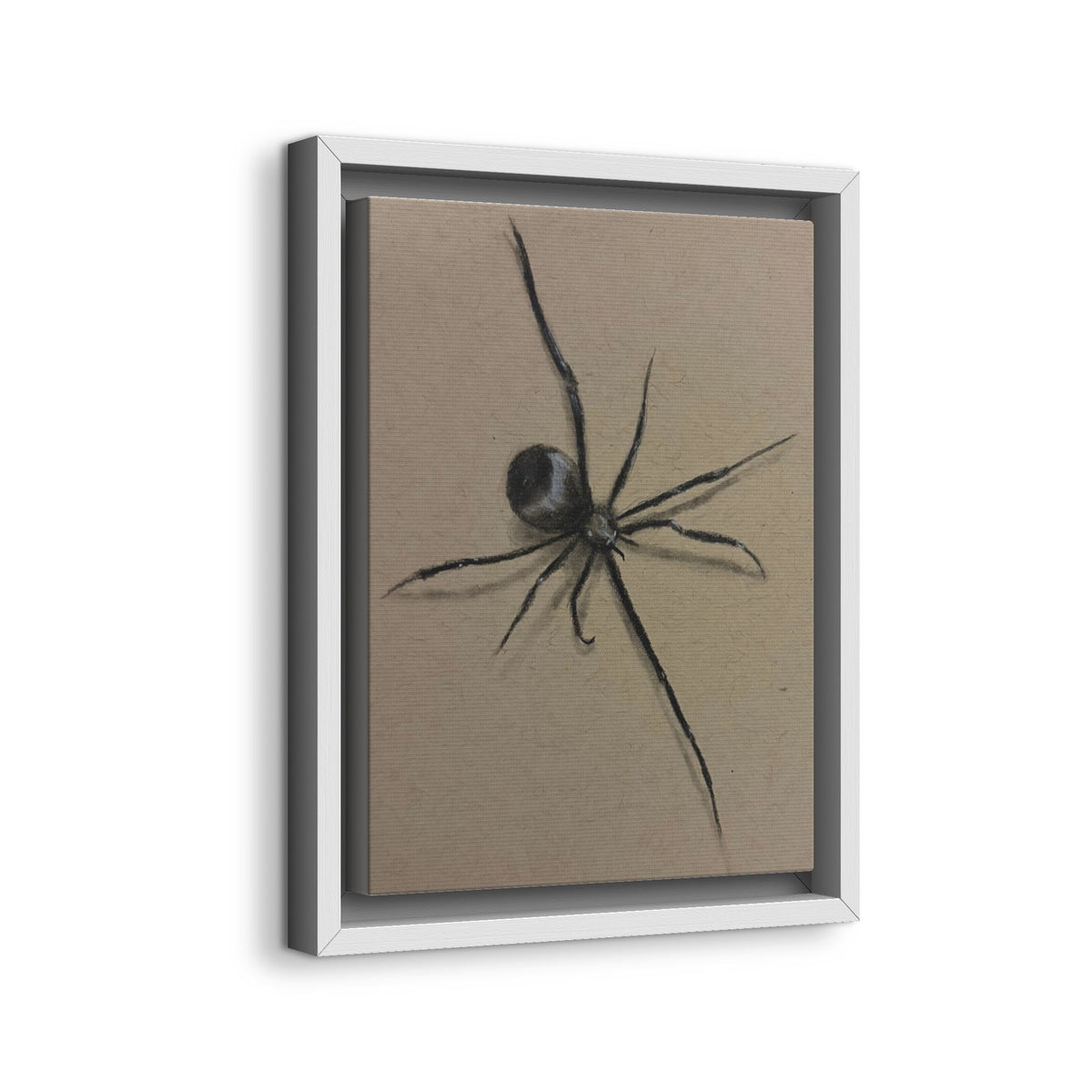 Framed Canvas Spider Wall Art