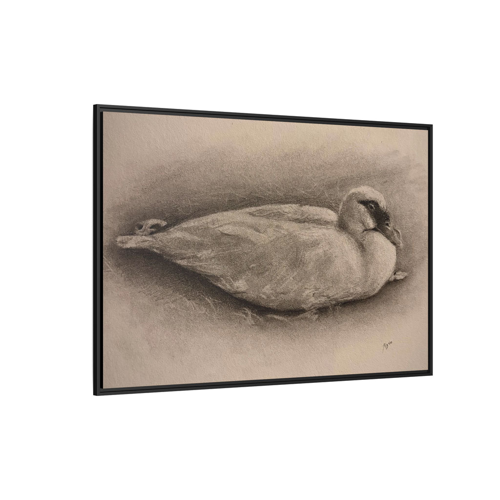 “Duck Rest”