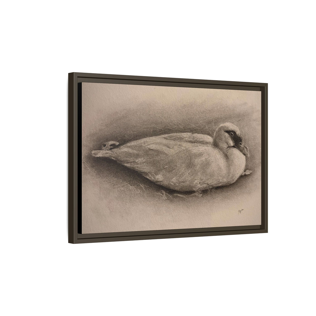 “Duck Rest”
