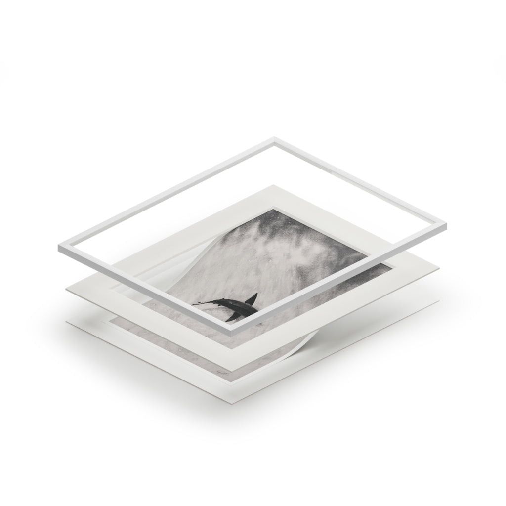 “Shark” Fine Art Prints (Passepartout Paper Frame)