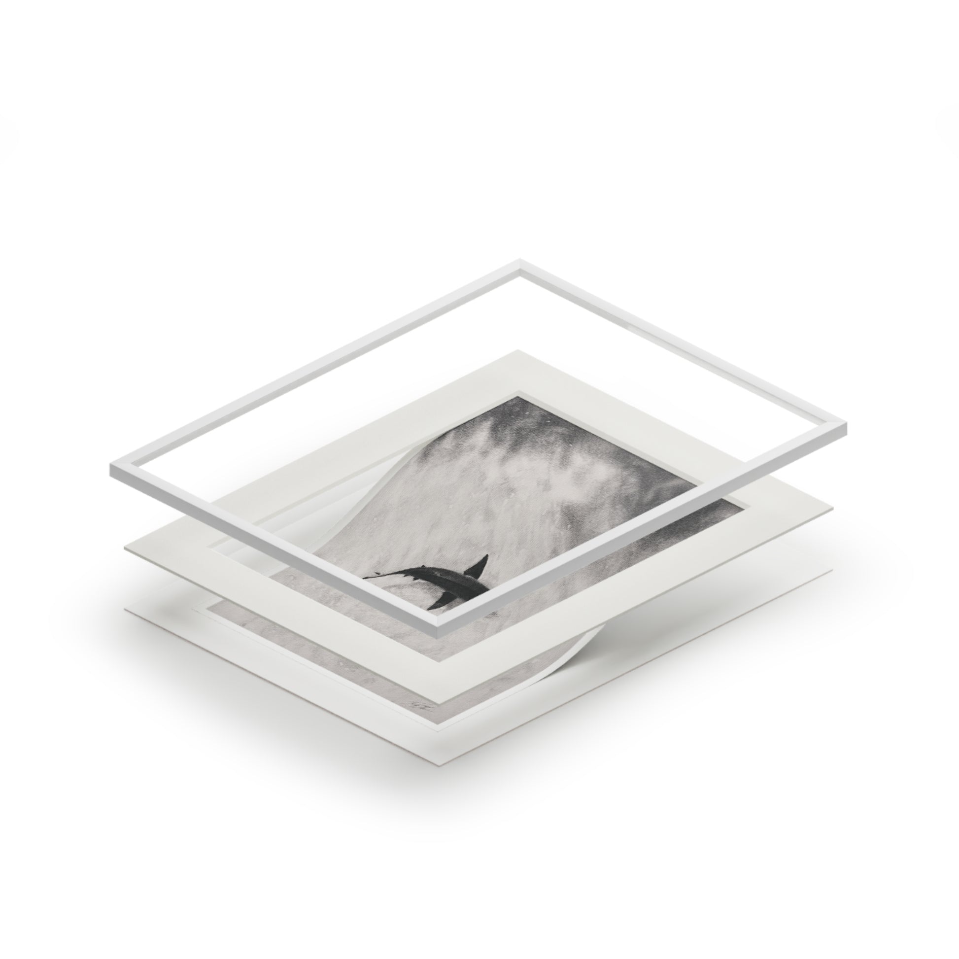 “Shark” Fine Art Prints (Passepartout Paper Frame)