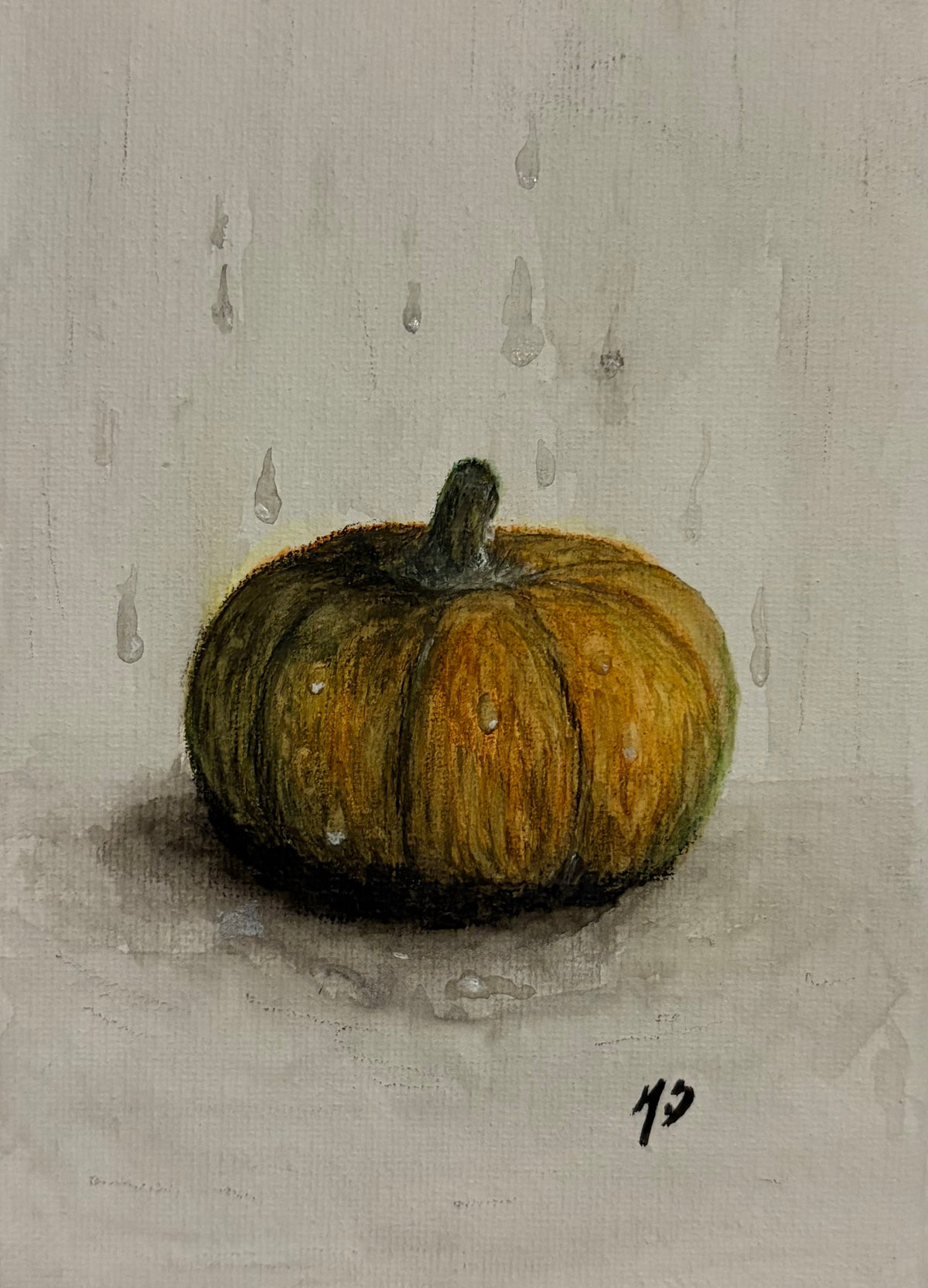 Pumpkin Patch
