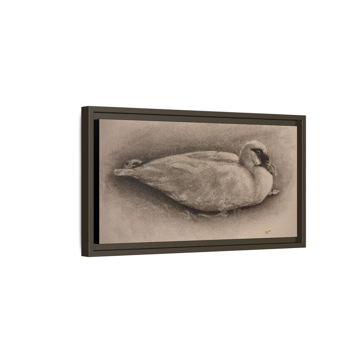 “Duck Rest”
