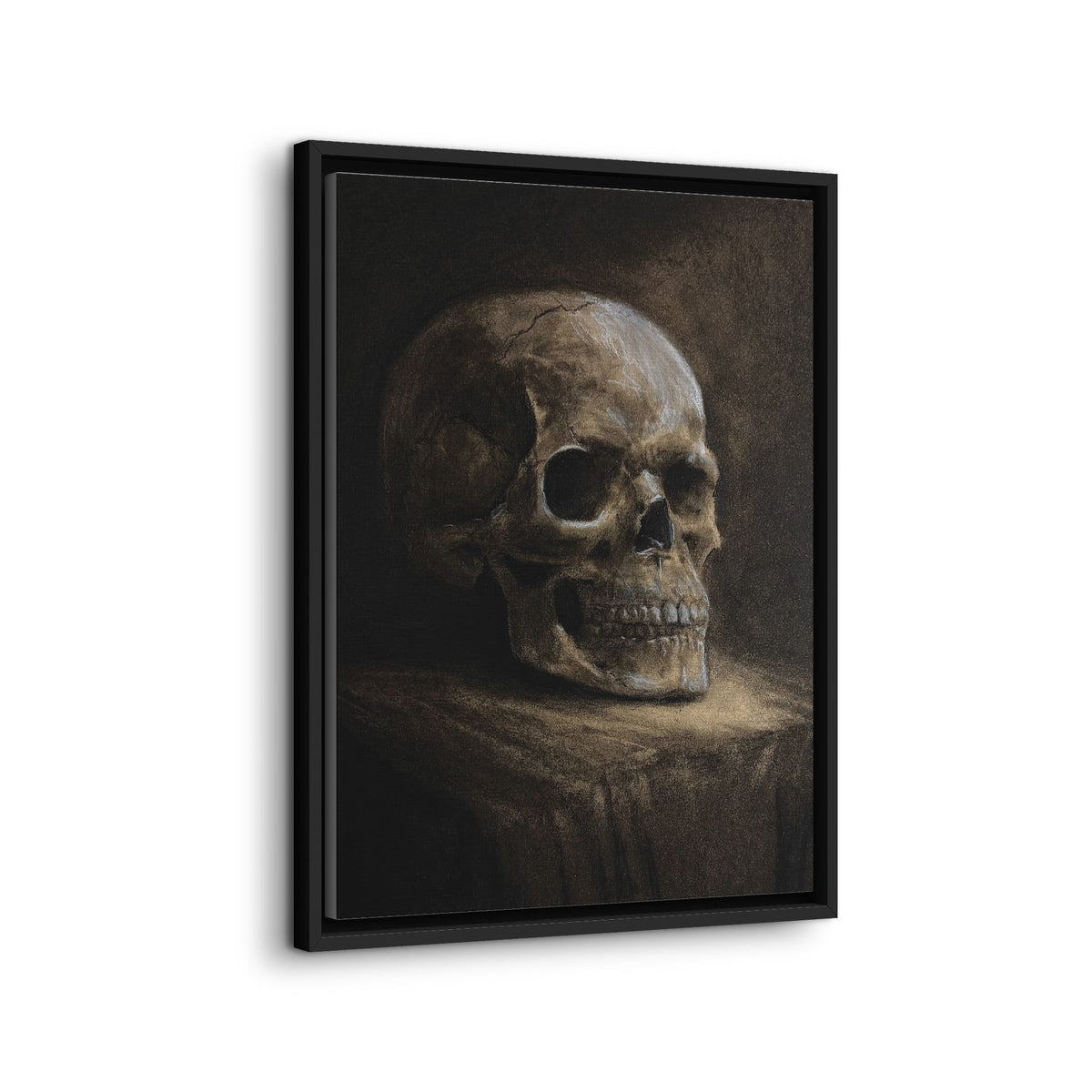 Framed Canvas Skull Portrait Wall Art