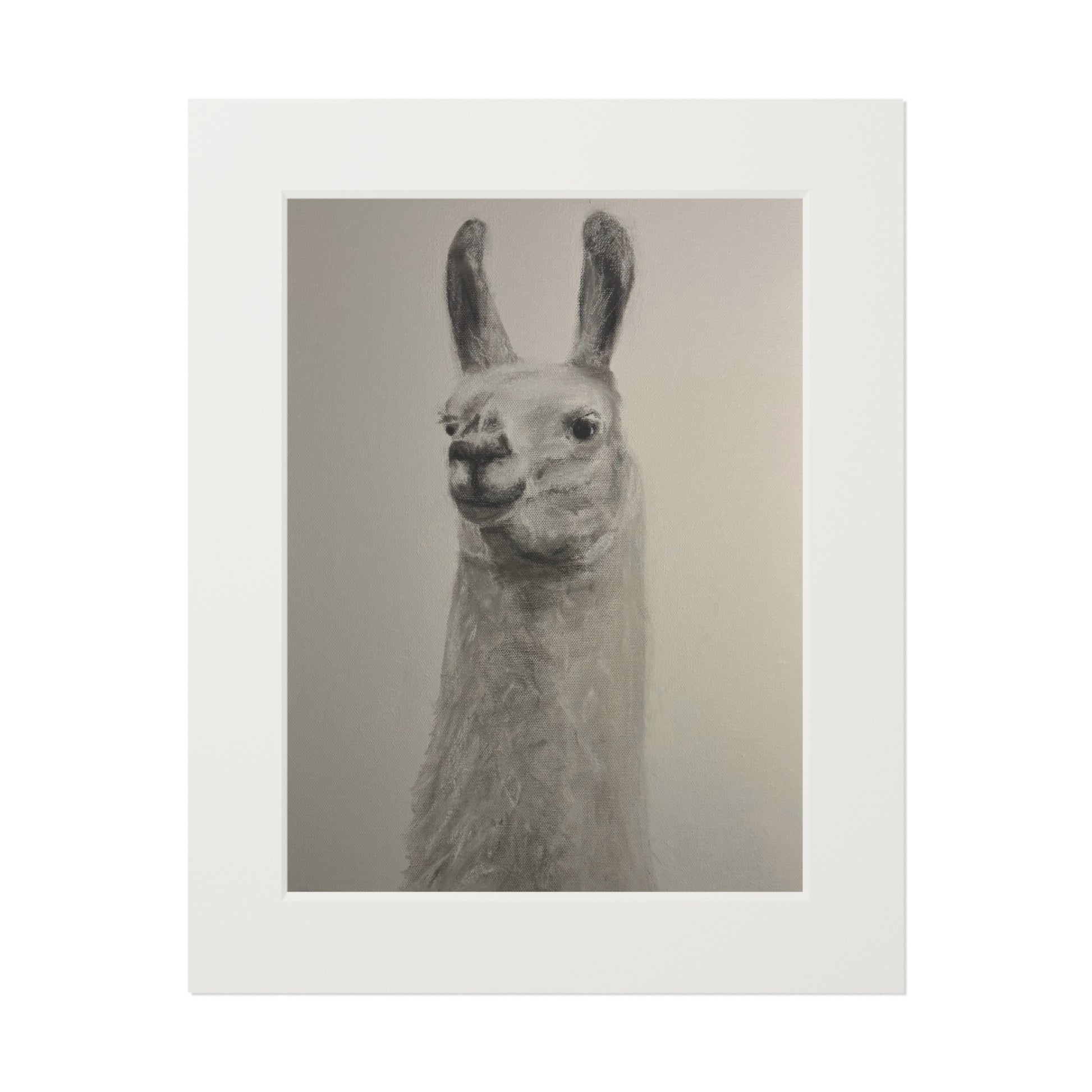 Llama Fine Art Print with Passepartout — Minimalist Neutral Wall Art