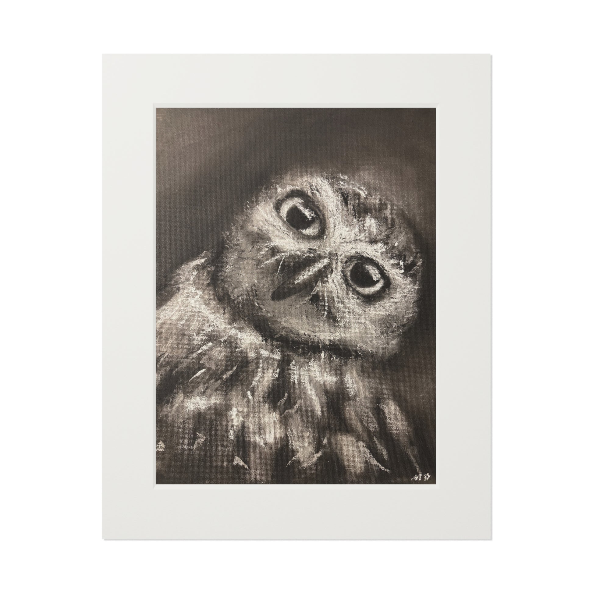 "CURIOSITY" Owl Charcoal Fine Art Print with Passepartout Frame