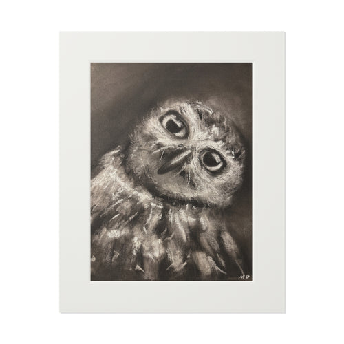 "CURIOSITY" Owl Charcoal Fine Art Print with Passepartout Frame