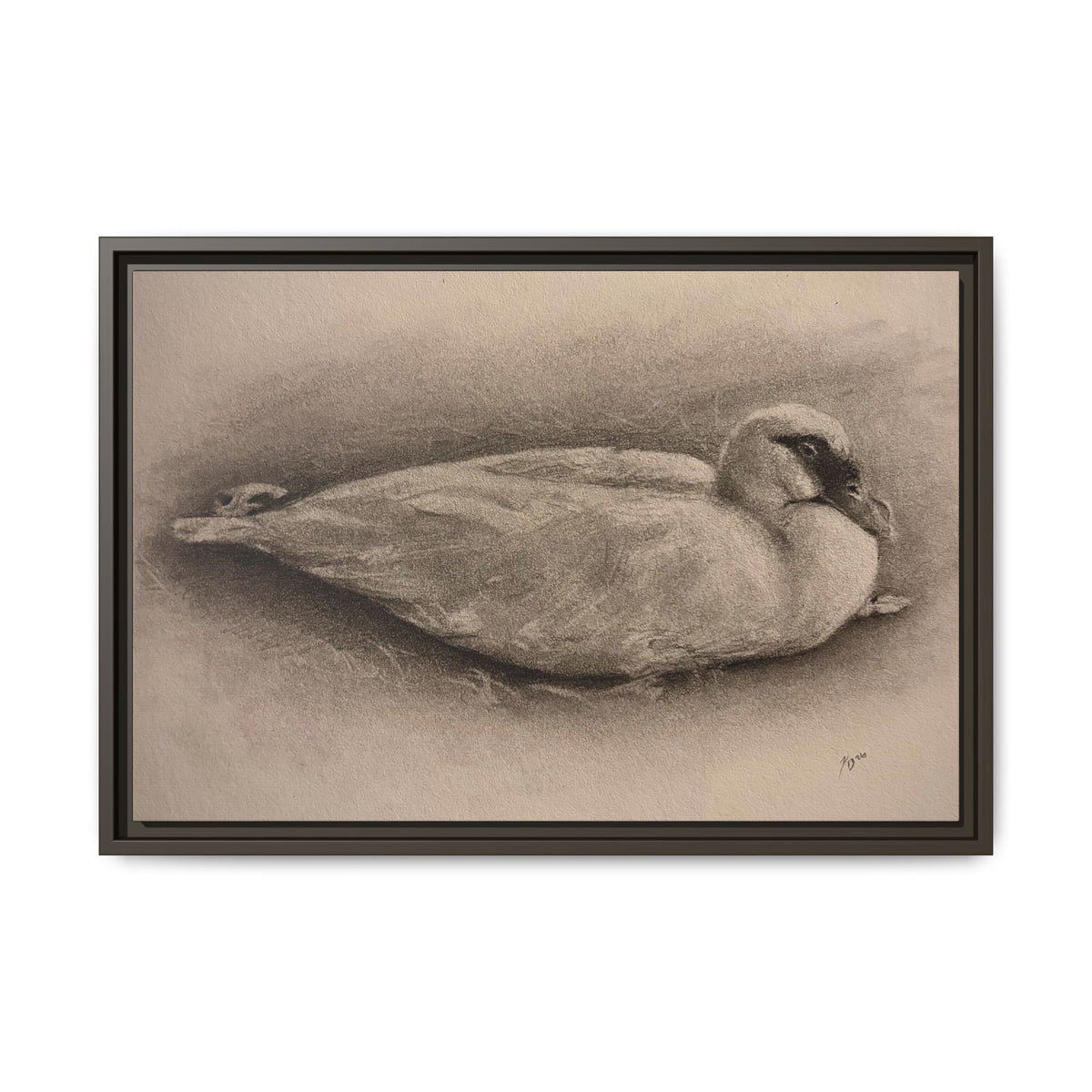 “Duck Rest”