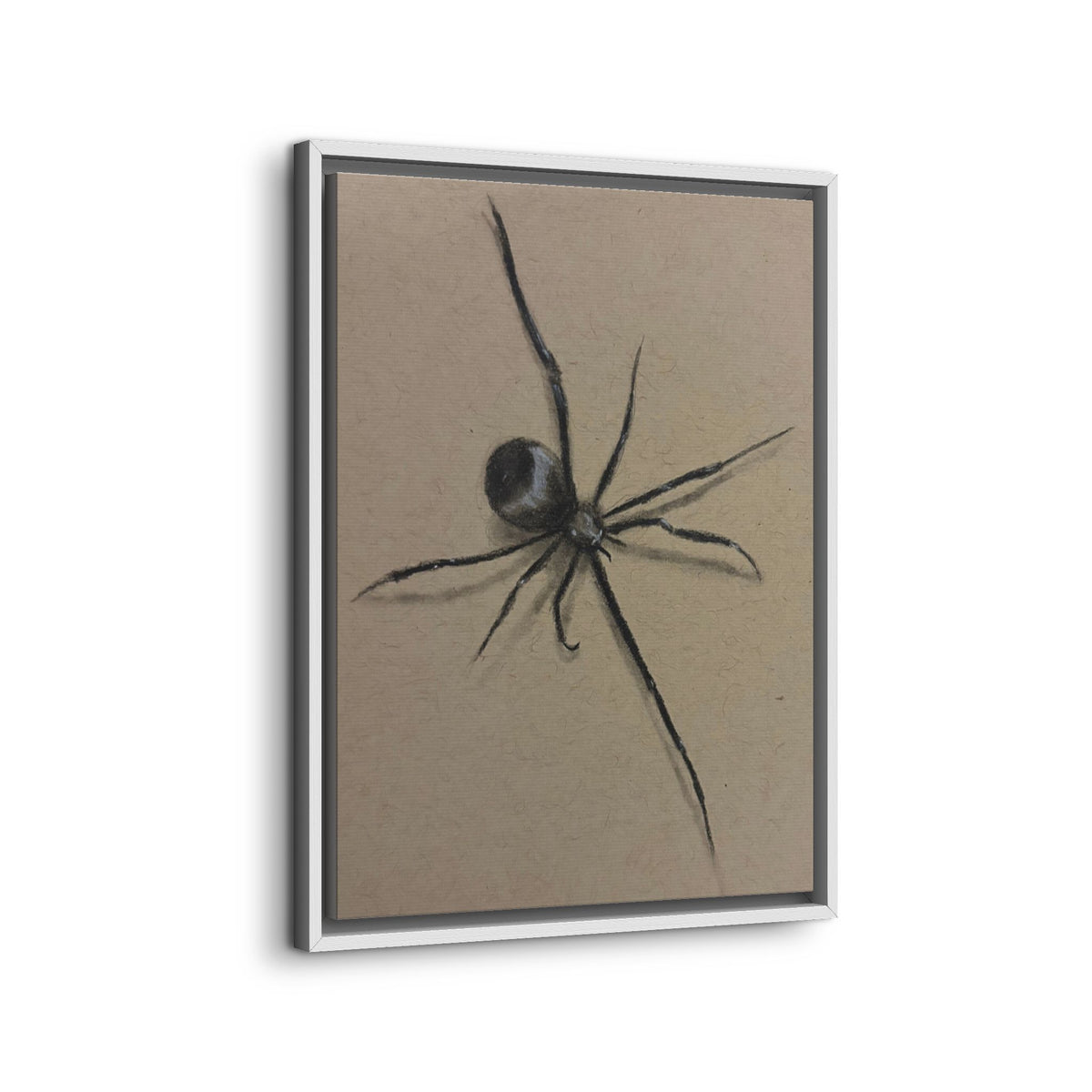 Framed Canvas Spider Wall Art